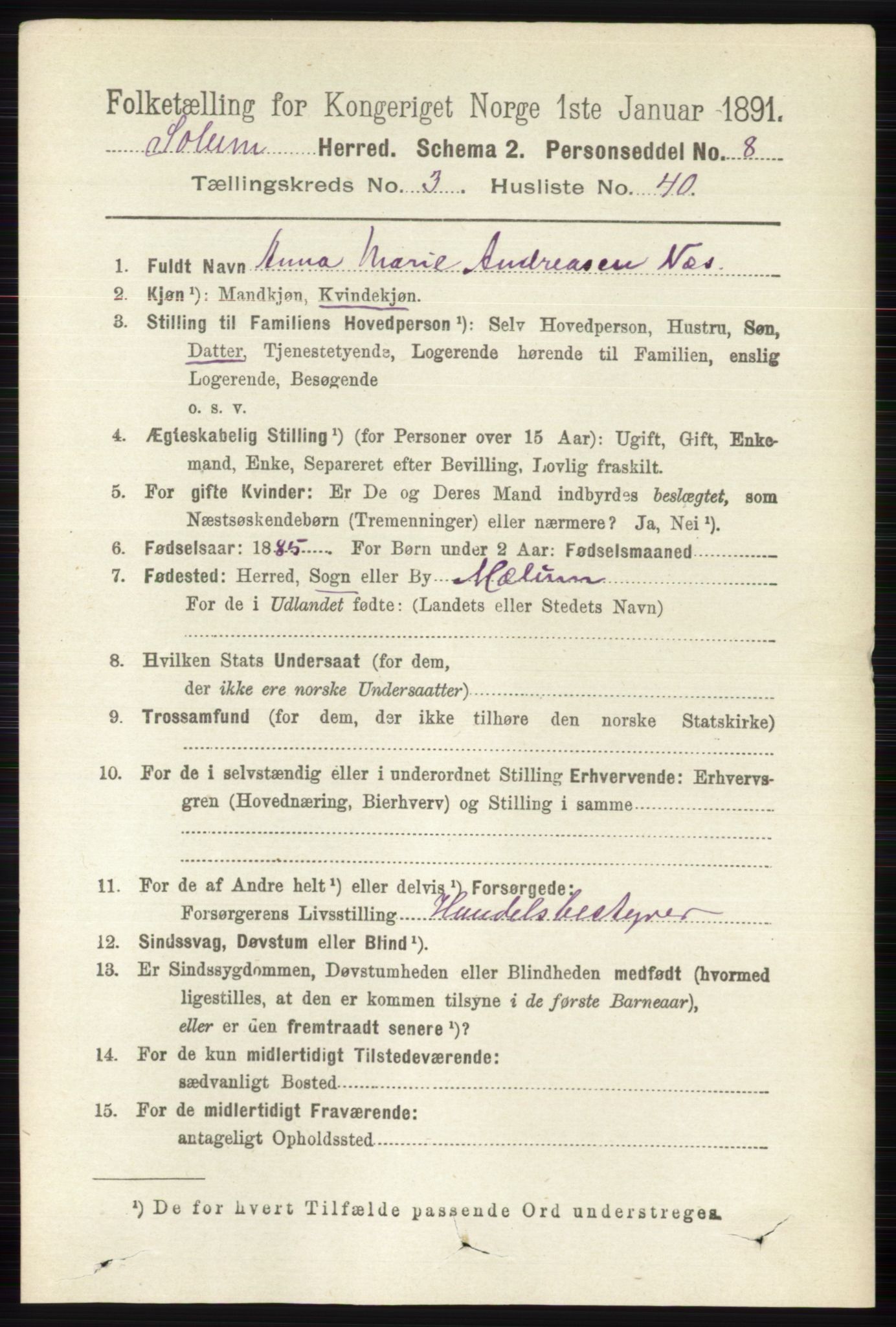 RA, 1891 census for 0818 Solum, 1891, p. 571