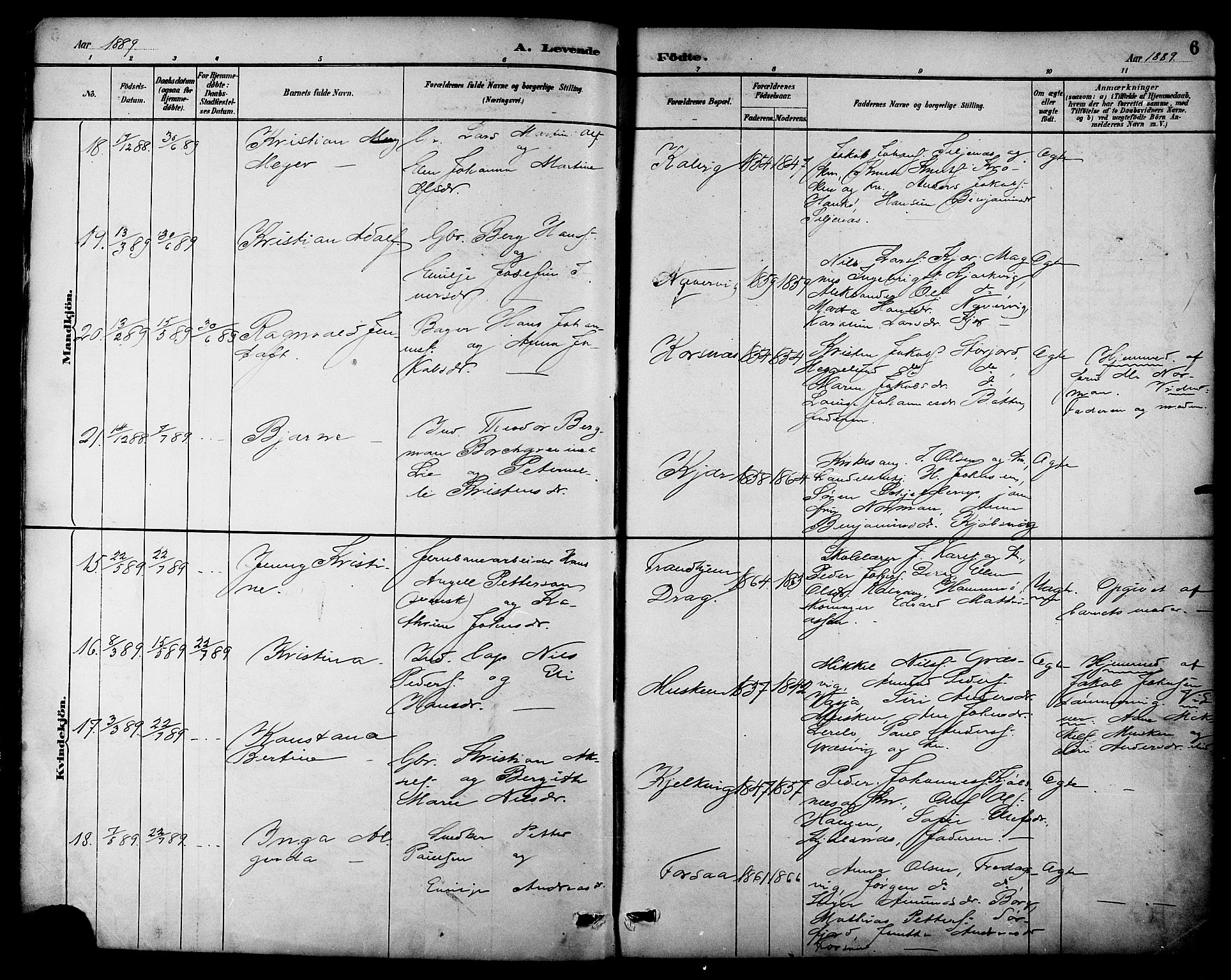 Ministerialprotokoller, klokkerbøker og fødselsregistre - Nordland, SAT/A-1459/861/L0869: Parish register (official) no. 861A04, 1889-1903, p. 6
