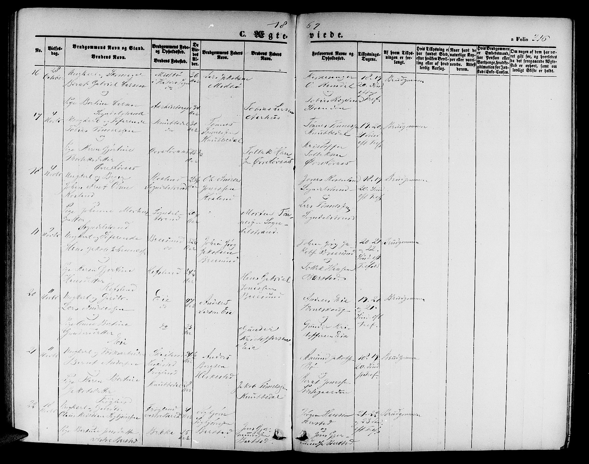 Sokndal sokneprestkontor, AV/SAST-A-101808: Parish register (copy) no. B 3, 1865-1879, p. 316