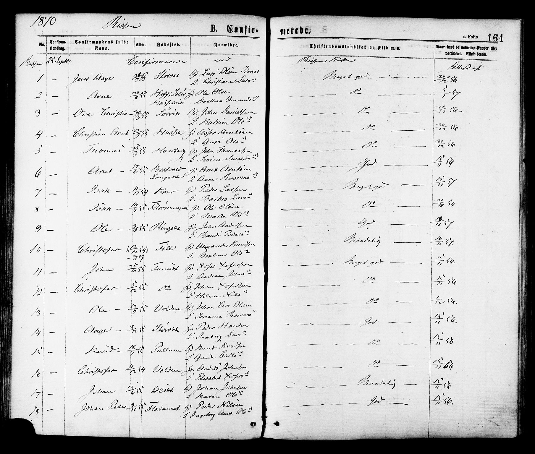 Ministerialprotokoller, klokkerbøker og fødselsregistre - Sør-Trøndelag, SAT/A-1456/646/L0613: Parish register (official) no. 646A11, 1870-1884, p. 161