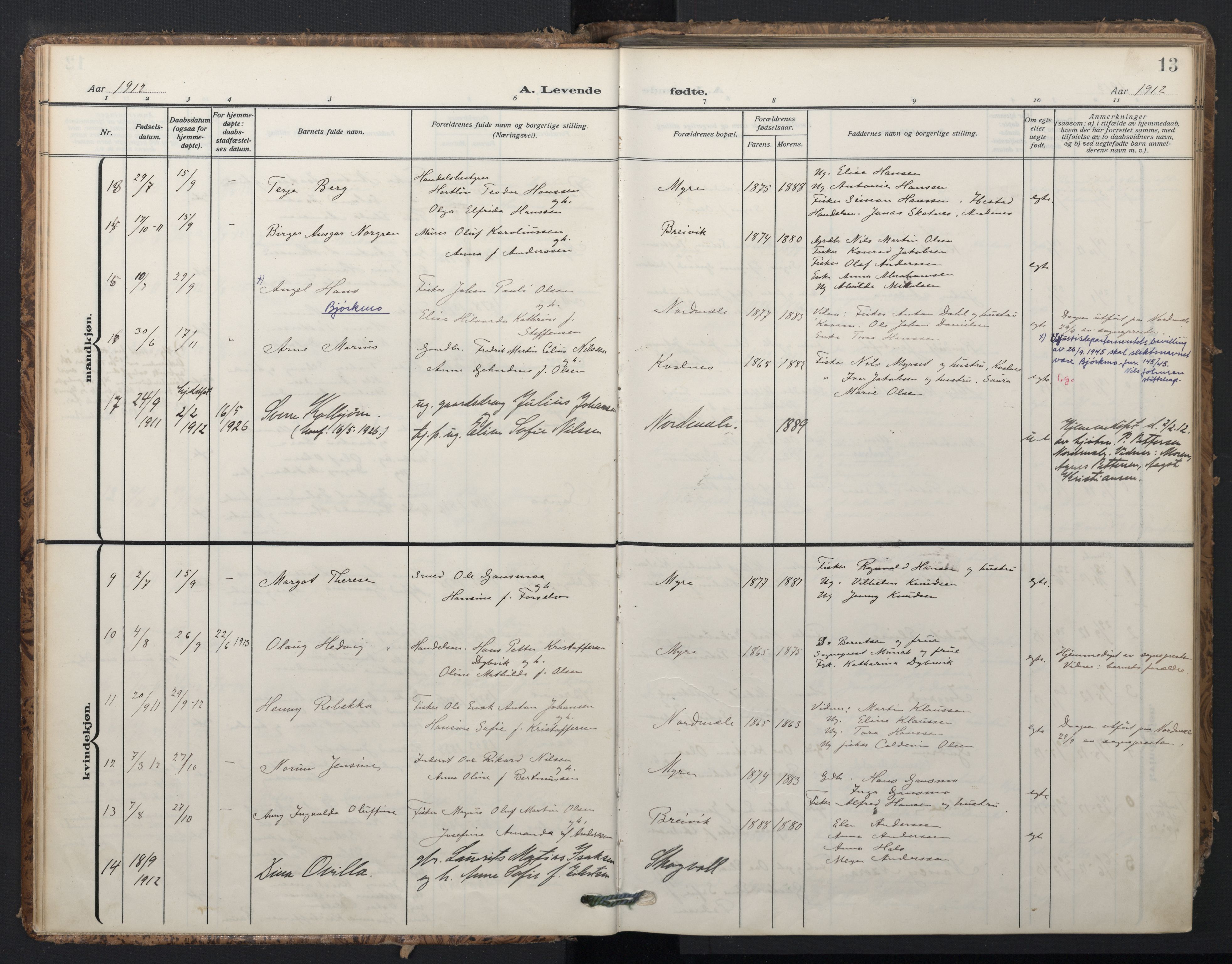 Ministerialprotokoller, klokkerbøker og fødselsregistre - Nordland, AV/SAT-A-1459/897/L1401: Parish register (official) no. 897A08, 1909-1921, p. 13