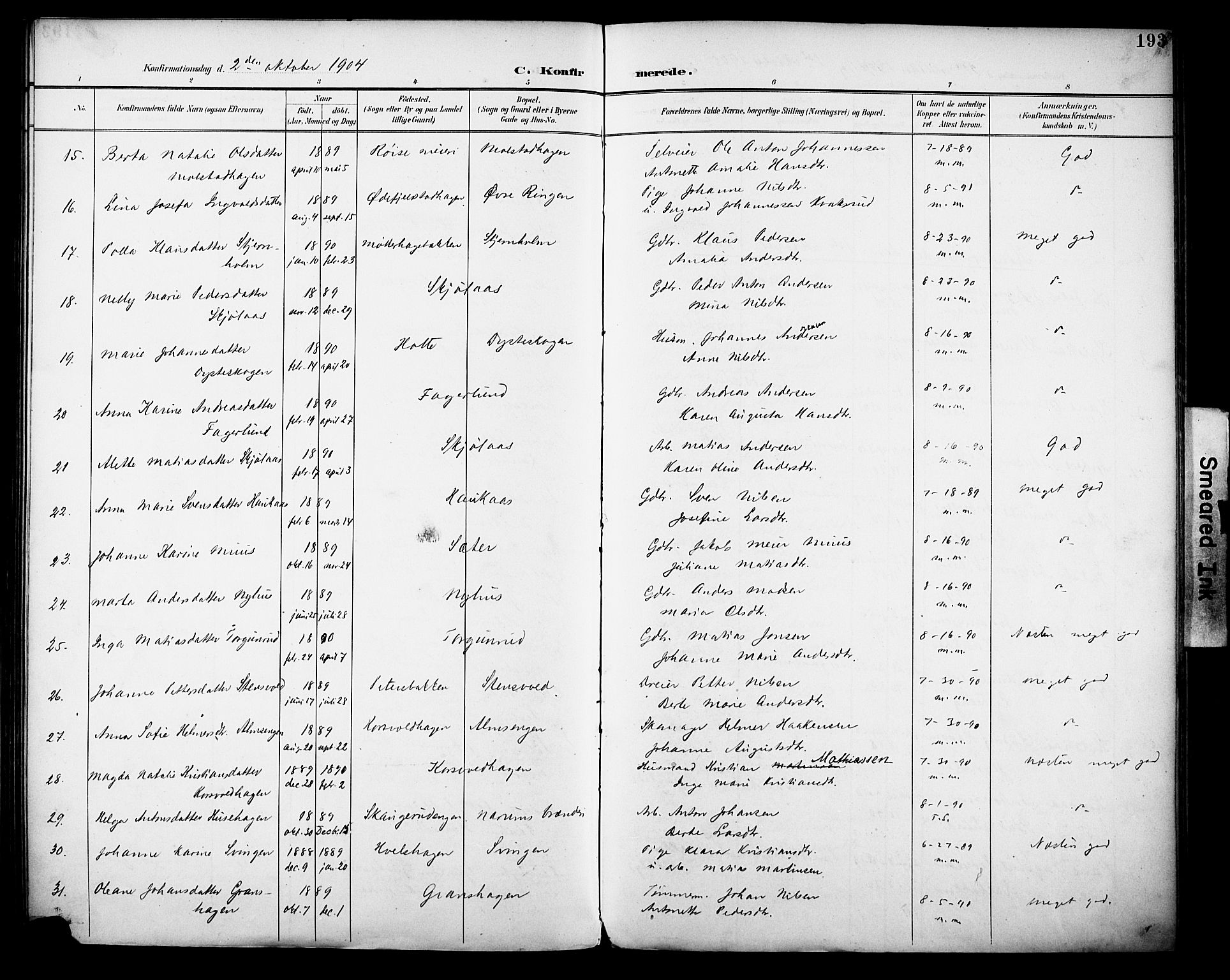 Vestre Toten prestekontor, AV/SAH-PREST-108/H/Ha/Haa/L0013: Parish register (official) no. 13, 1895-1911, p. 193