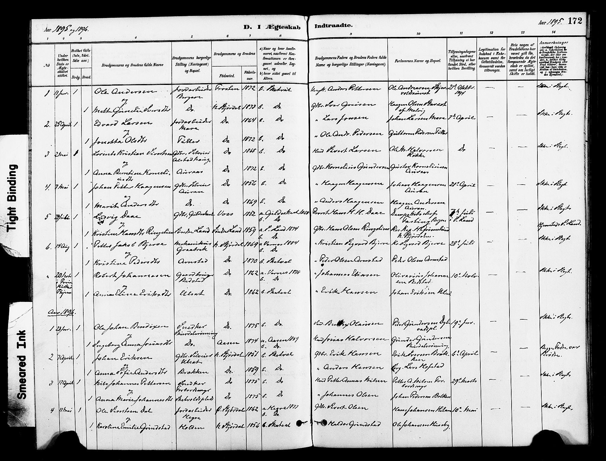 Ministerialprotokoller, klokkerbøker og fødselsregistre - Nord-Trøndelag, AV/SAT-A-1458/712/L0100: Parish register (official) no. 712A01, 1880-1900, p. 172