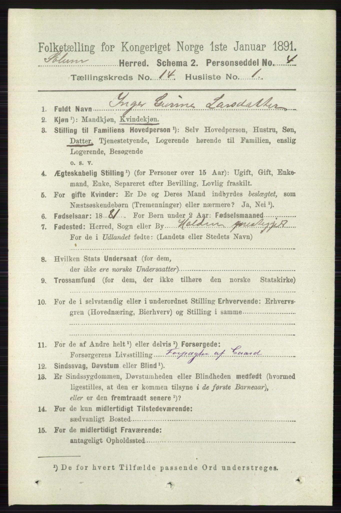 RA, 1891 census for 0818 Solum, 1891, p. 6364