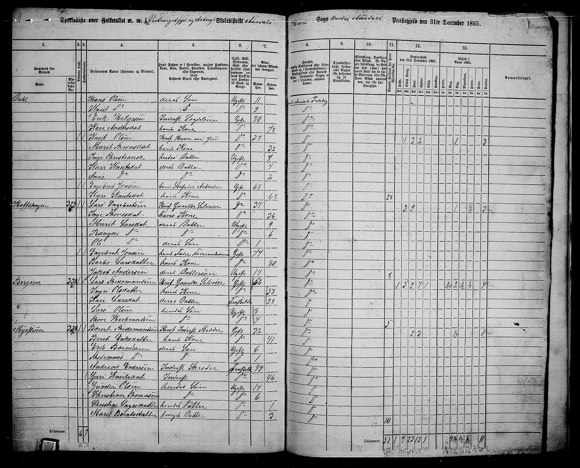 RA, 1865 census for Nord-Aurdal, 1865, p. 224