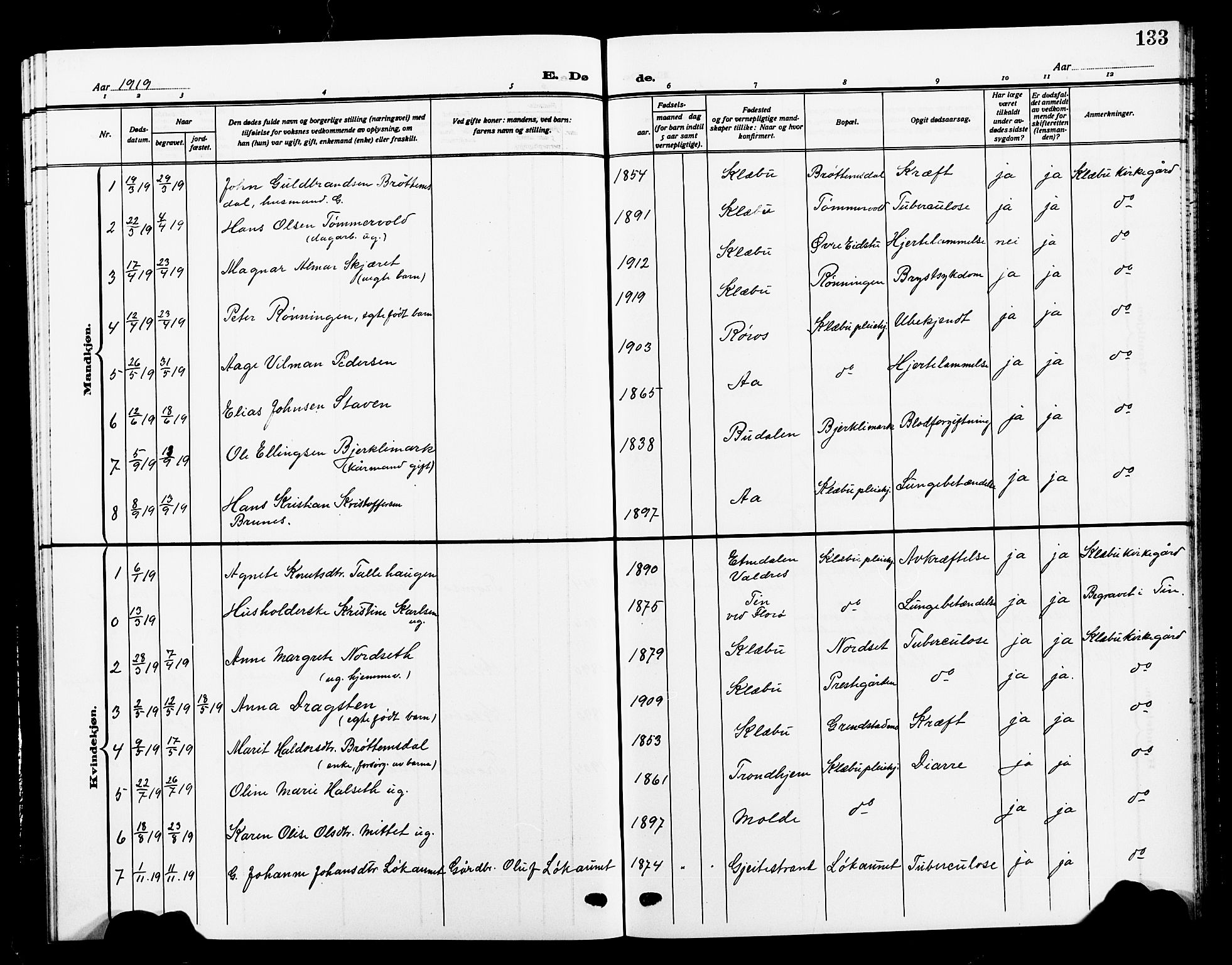 Ministerialprotokoller, klokkerbøker og fødselsregistre - Sør-Trøndelag, SAT/A-1456/618/L0453: Parish register (copy) no. 618C04, 1907-1925, p. 133