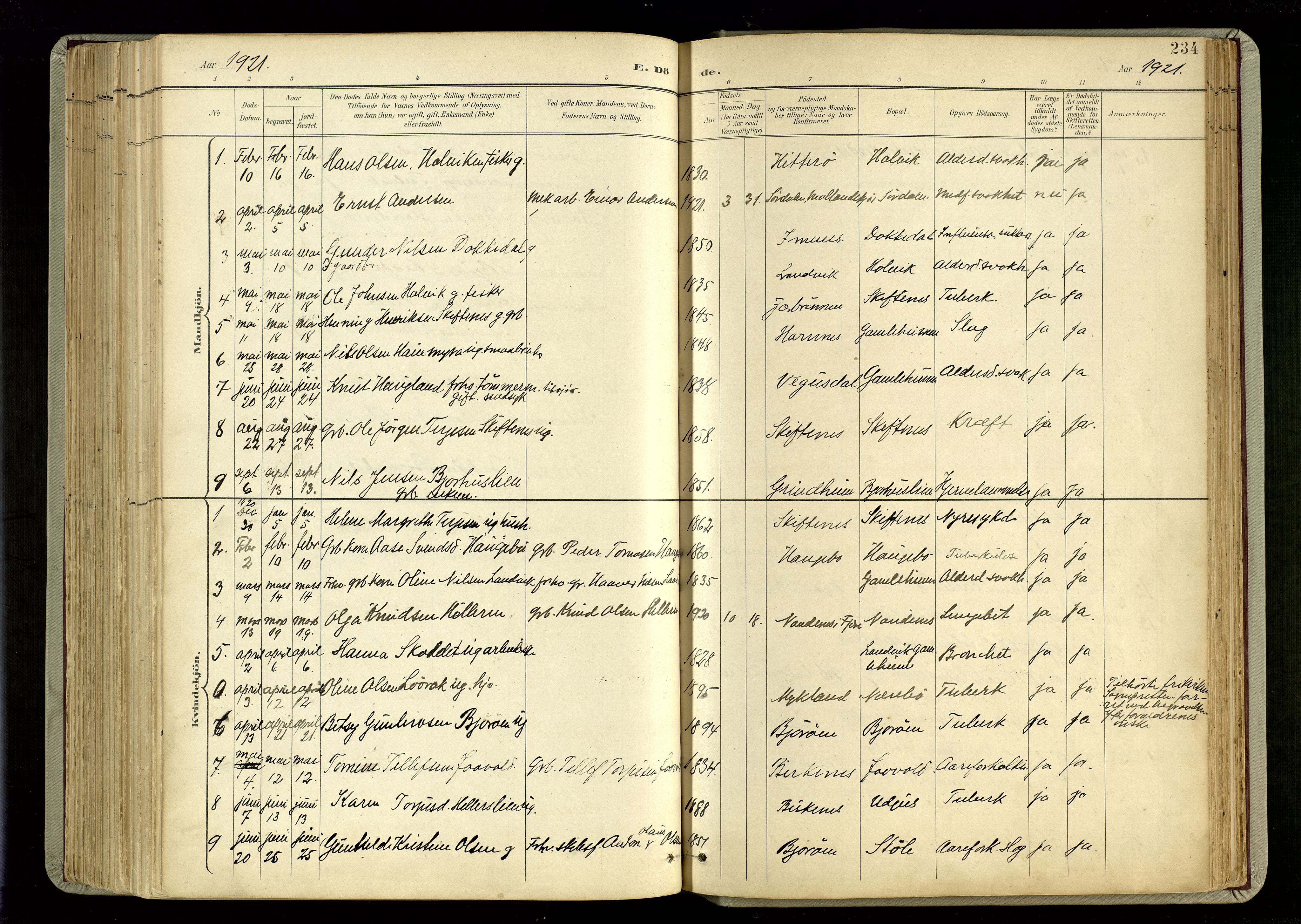 Hommedal sokneprestkontor, AV/SAK-1111-0023/F/Fa/Fab/L0007: Parish register (official) no. A 7, 1898-1924, p. 234