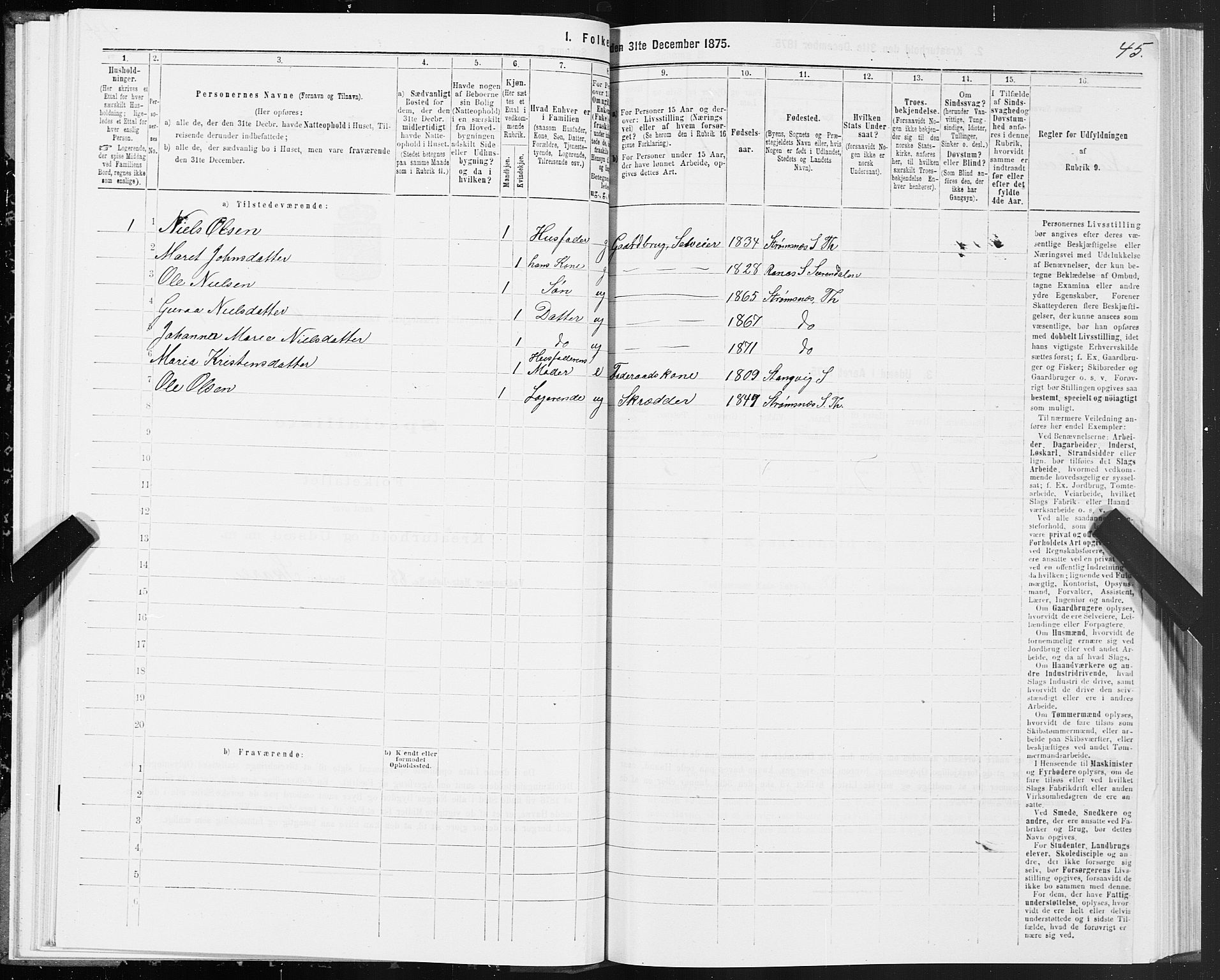 SAT, 1875 census for 1560P Tingvoll, 1875, p. 4045