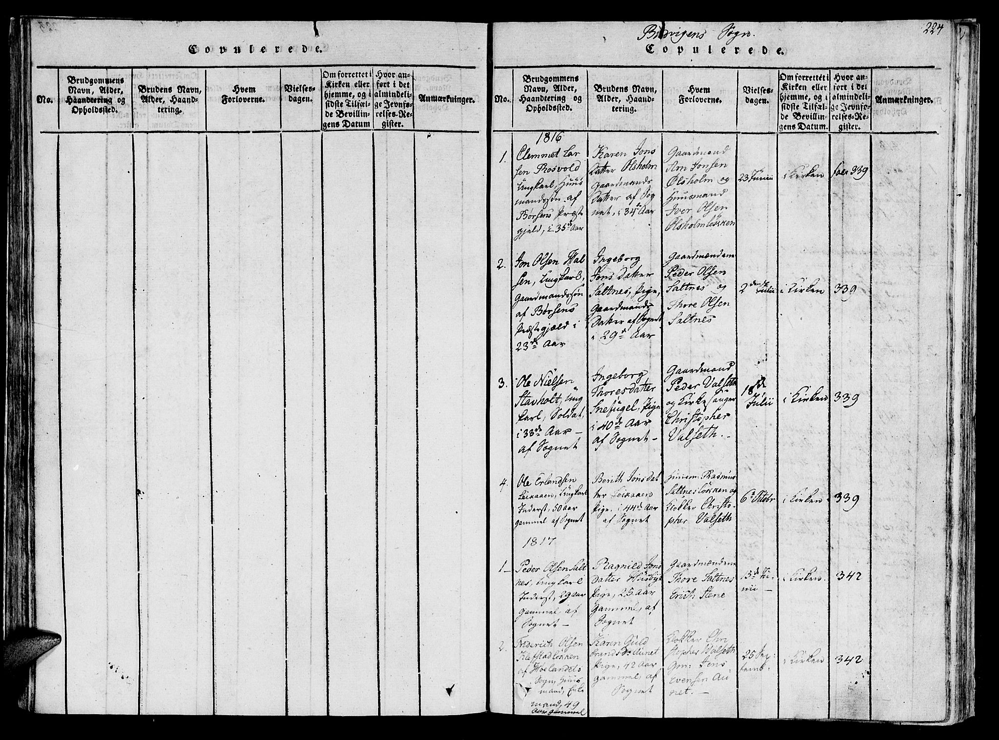 Ministerialprotokoller, klokkerbøker og fødselsregistre - Sør-Trøndelag, SAT/A-1456/612/L0373: Parish register (official) no. 612A06 /2, 1816-1828, p. 224