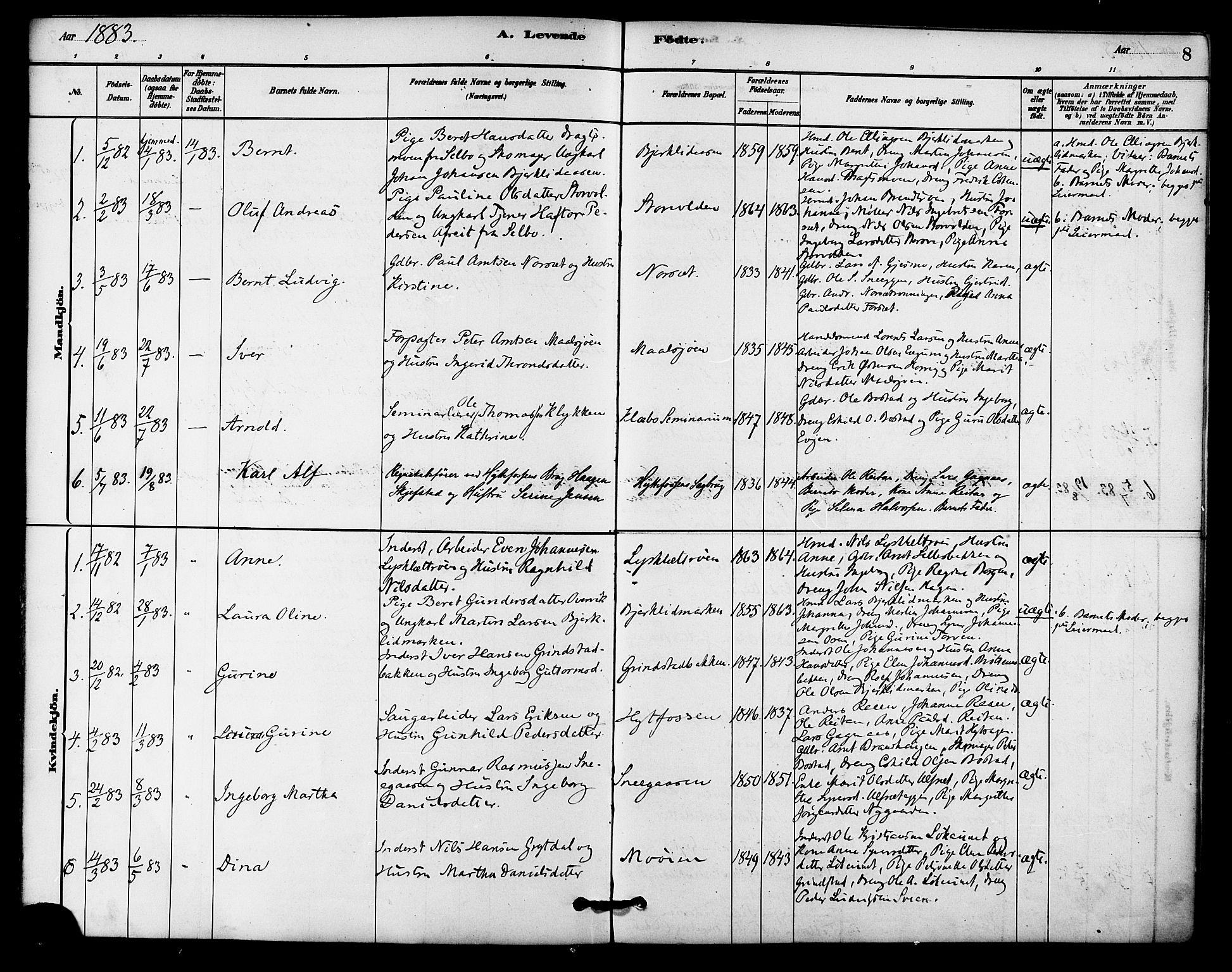 Ministerialprotokoller, klokkerbøker og fødselsregistre - Sør-Trøndelag, SAT/A-1456/618/L0444: Parish register (official) no. 618A07, 1880-1898, p. 8