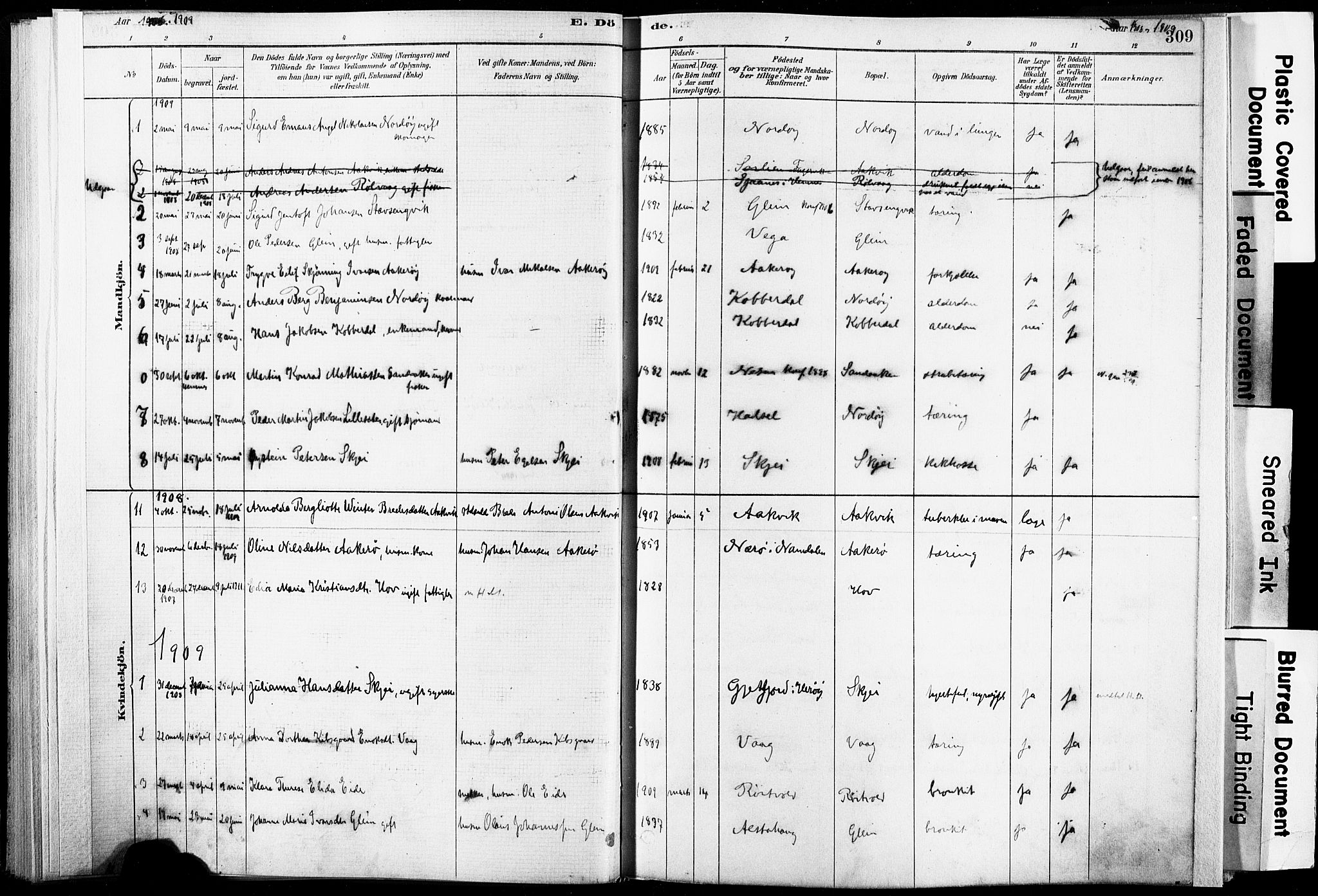 Ministerialprotokoller, klokkerbøker og fødselsregistre - Nordland, AV/SAT-A-1459/835/L0526: Parish register (official) no. 835A03II, 1881-1910, p. 309