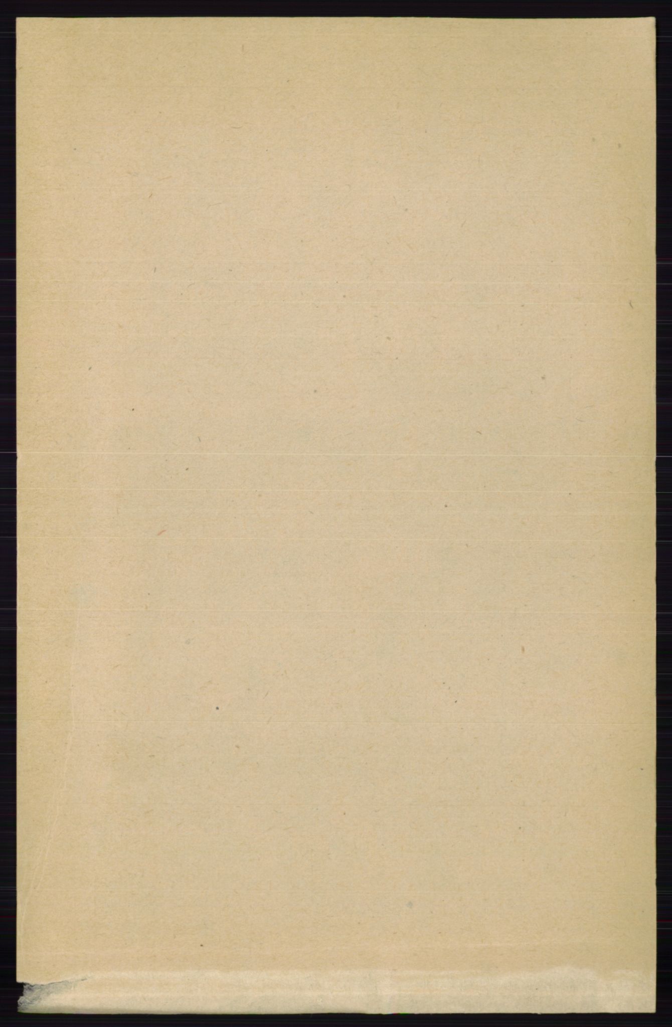 RA, 1891 census for 0113 Borge, 1891, p. 1367