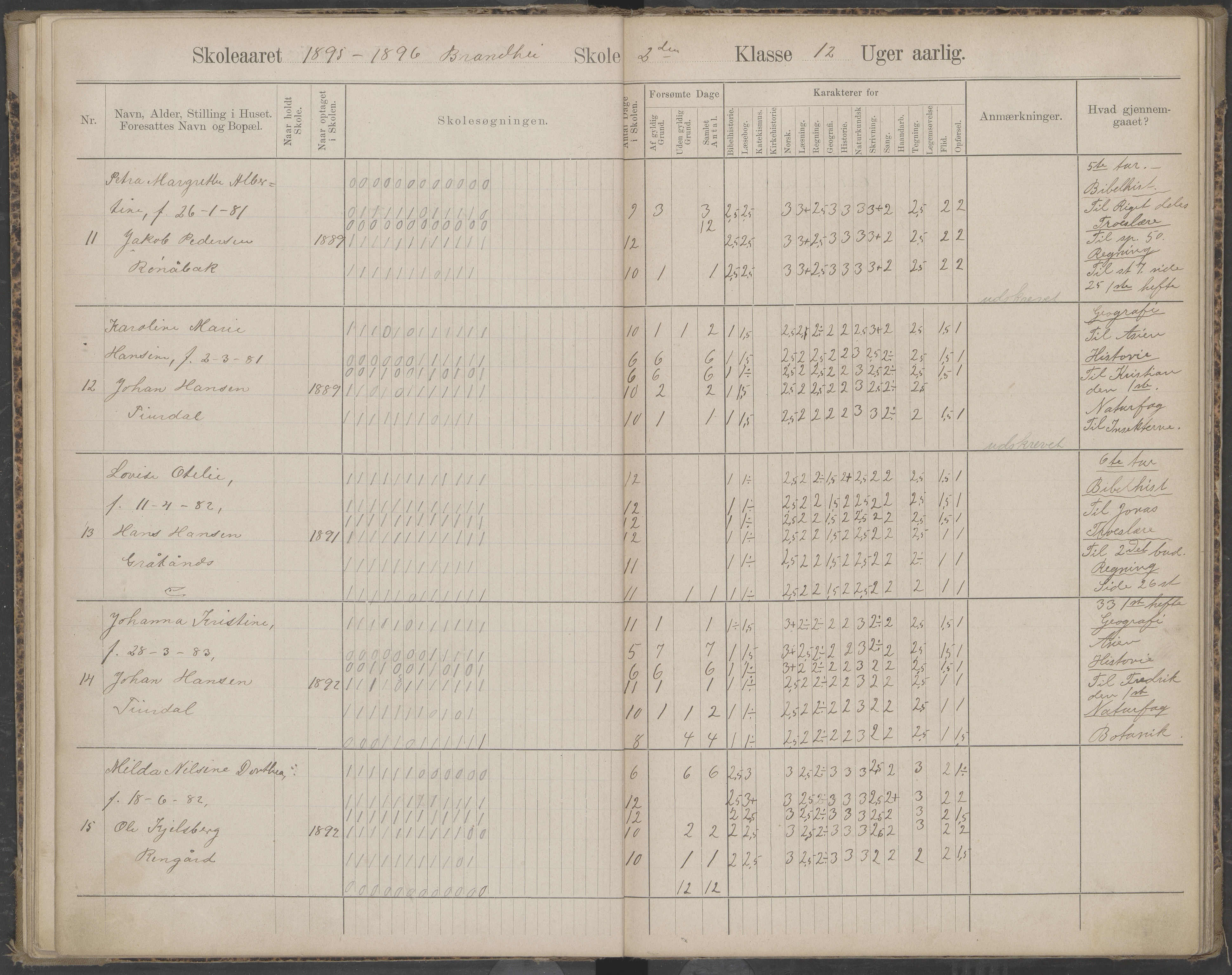 Beiarn kommune. Brandhei skolekrets, AIN/K-18390.510.03/442/L0003: Karakter/oversiktsprotokoll, 1893-1910