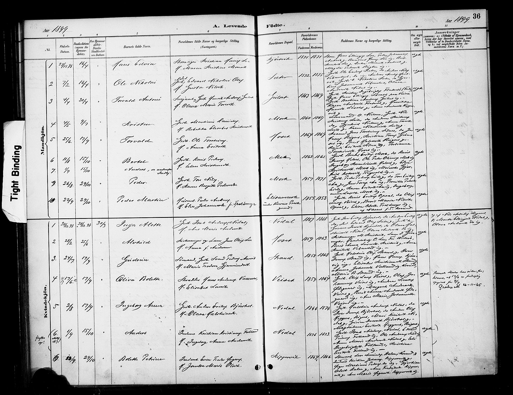 Ministerialprotokoller, klokkerbøker og fødselsregistre - Møre og Romsdal, SAT/A-1454/568/L0809: Parish register (official) no. 568A13, 1884-1900, p. 36