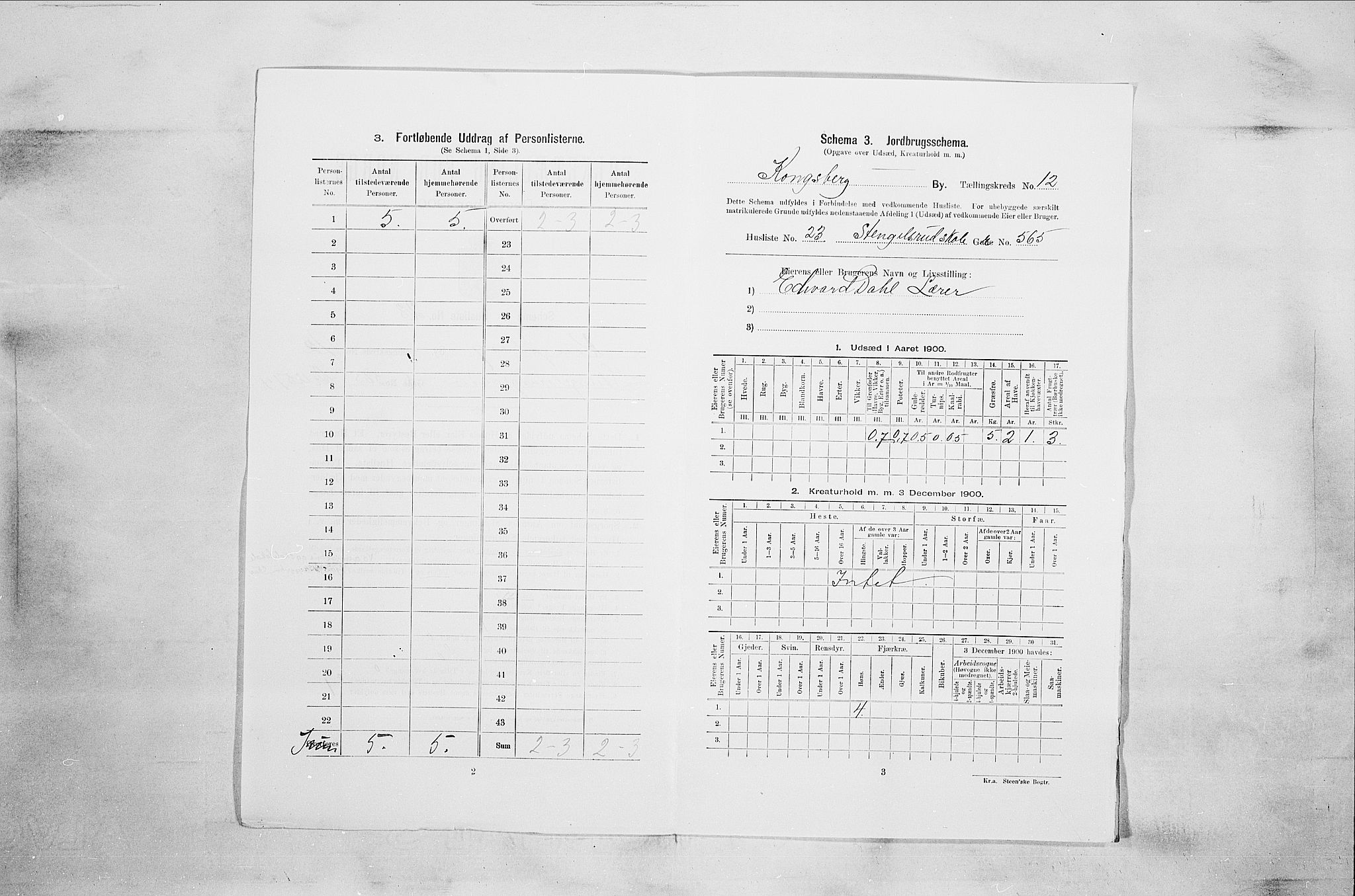 RA, 1900 census for Kongsberg, 1900, p. 2206