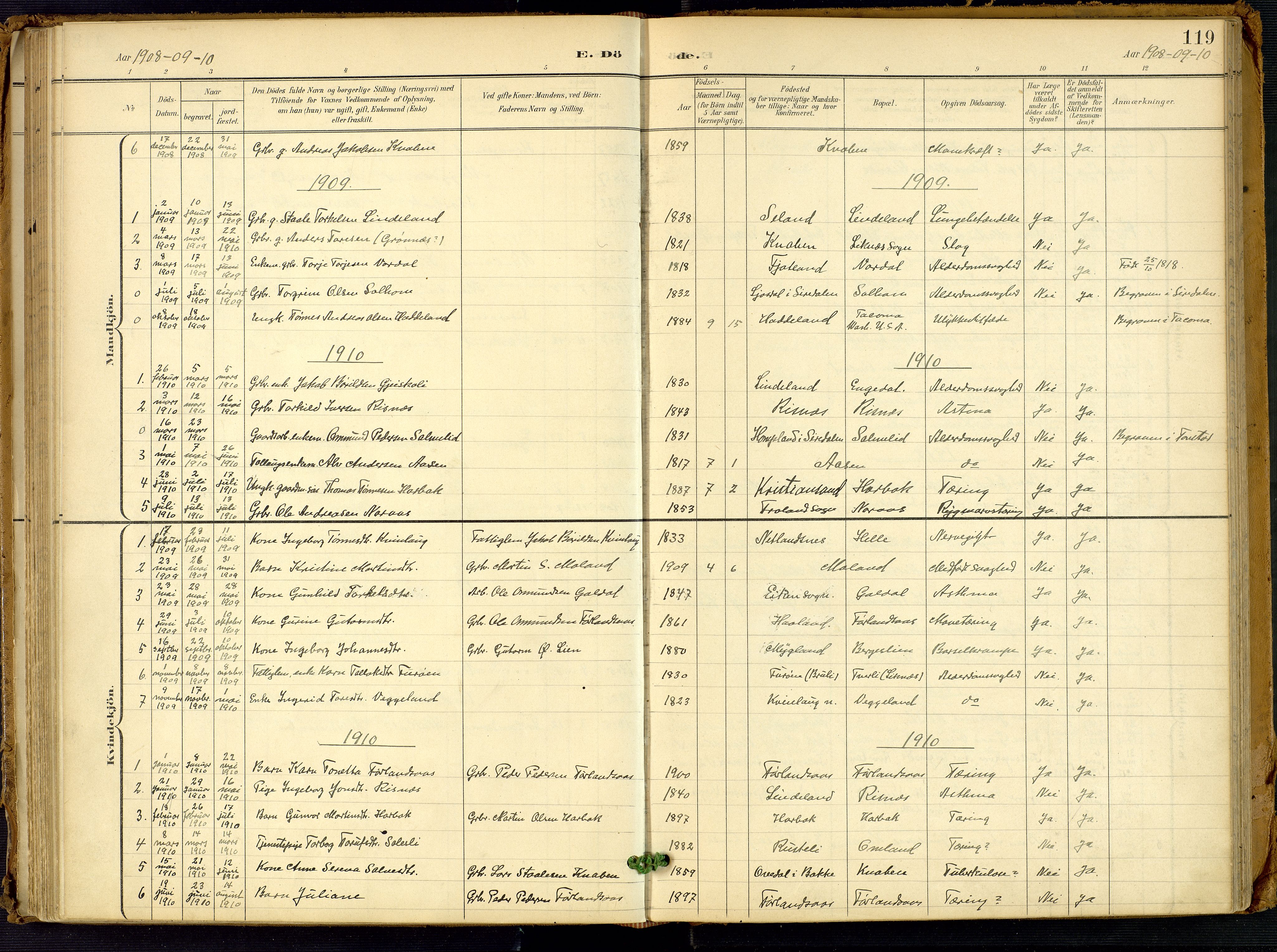 Fjotland sokneprestkontor, SAK/1111-0010/F/Fa/L0003: Parish register (official) no. A 3, 1899-1917, p. 119