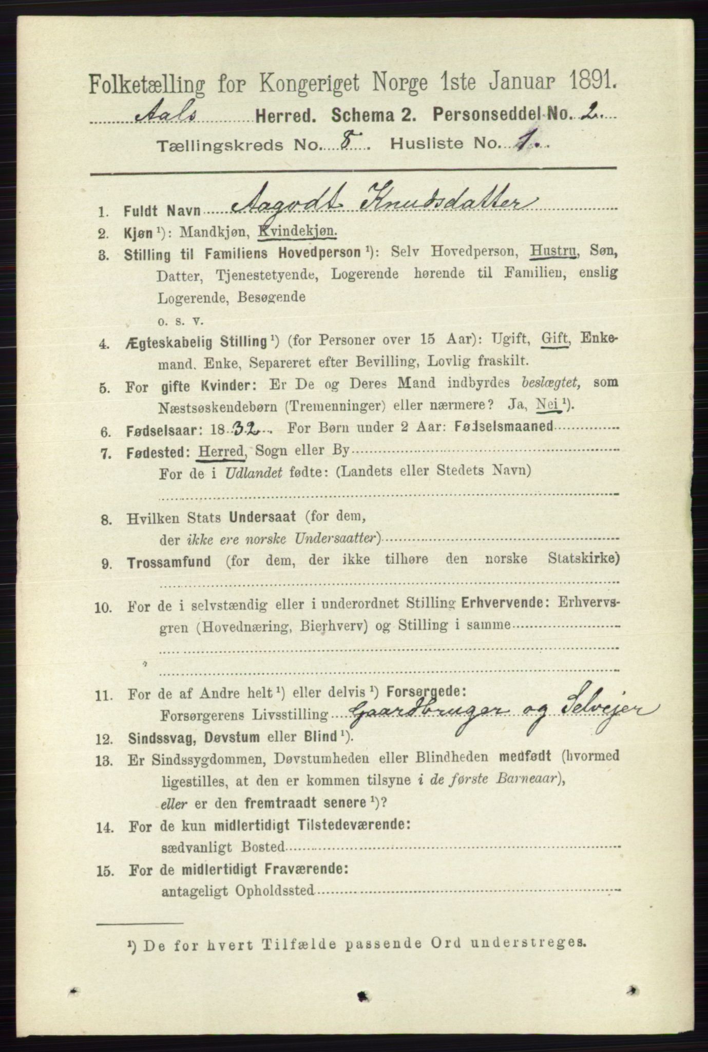 RA, 1891 census for 0619 Ål, 1891, p. 2094