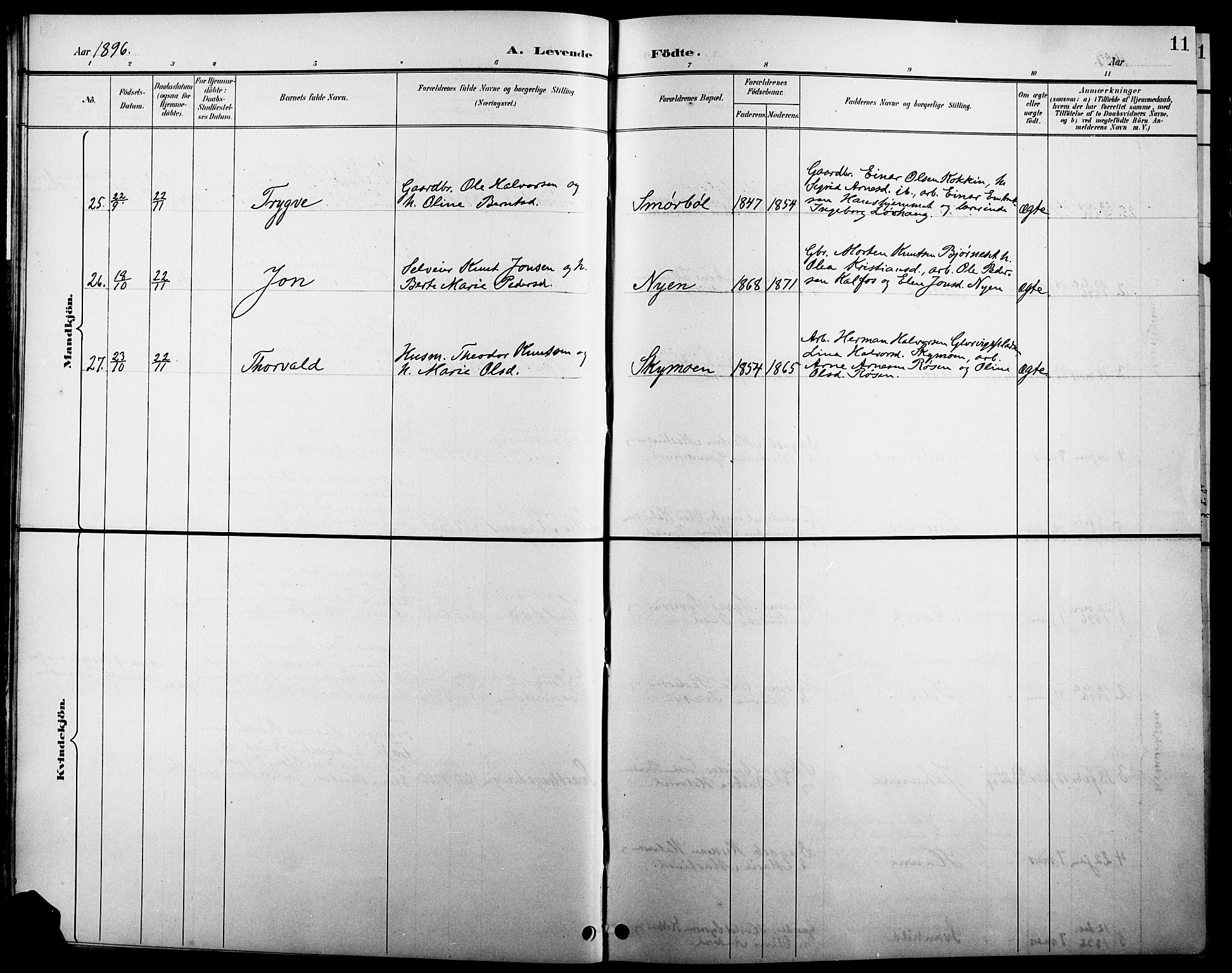 Åsnes prestekontor, AV/SAH-PREST-042/H/Ha/Hab/L0005: Parish register (copy) no. 5, 1895-1920, p. 11