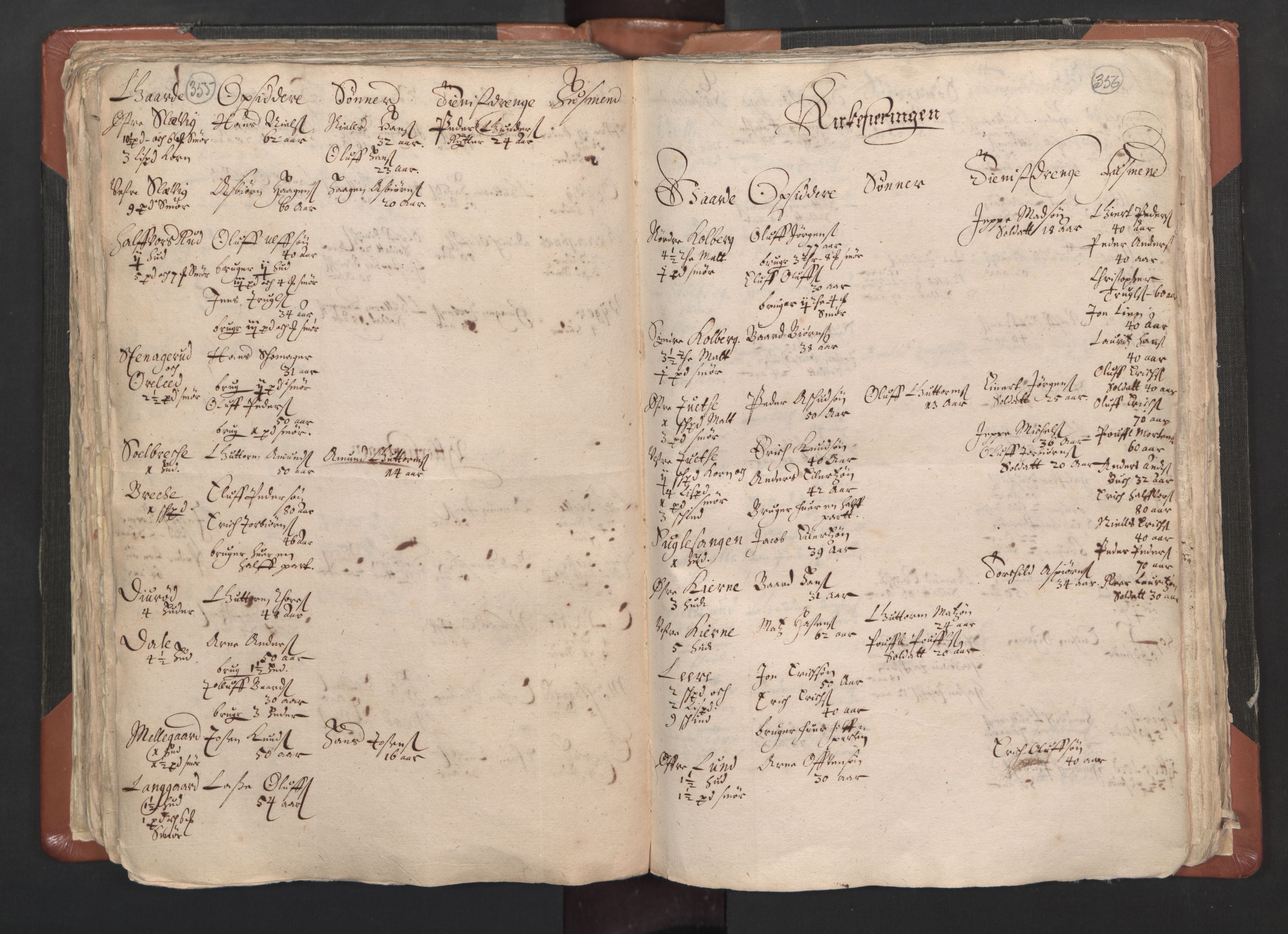 RA, Vicar's Census 1664-1666, no. 1: Nedre Borgesyssel deanery, 1664-1666, p. 355-356