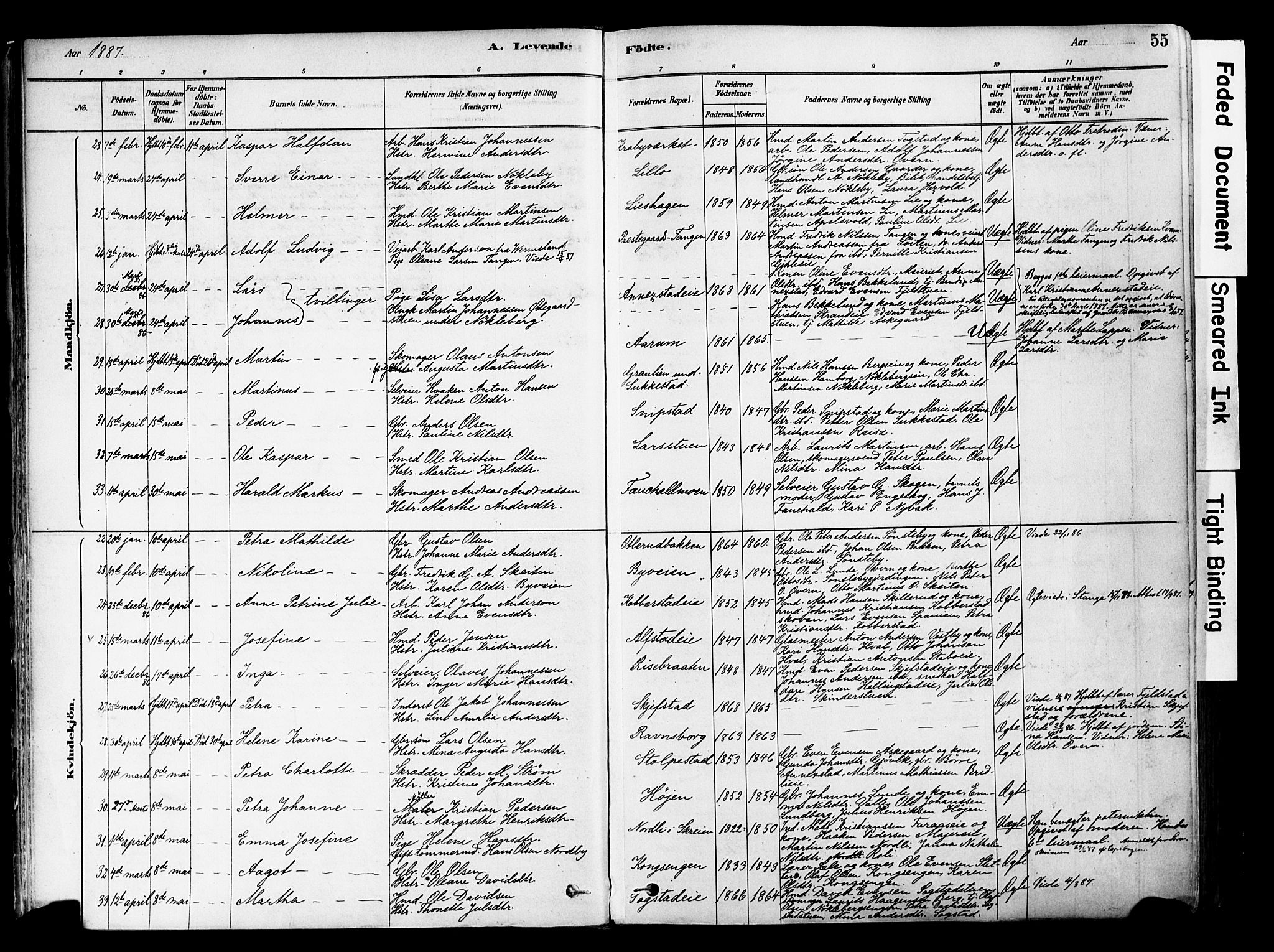 Østre Toten prestekontor, AV/SAH-PREST-104/H/Ha/Haa/L0006: Parish register (official) no. 6 /1, 1878-1896, p. 55