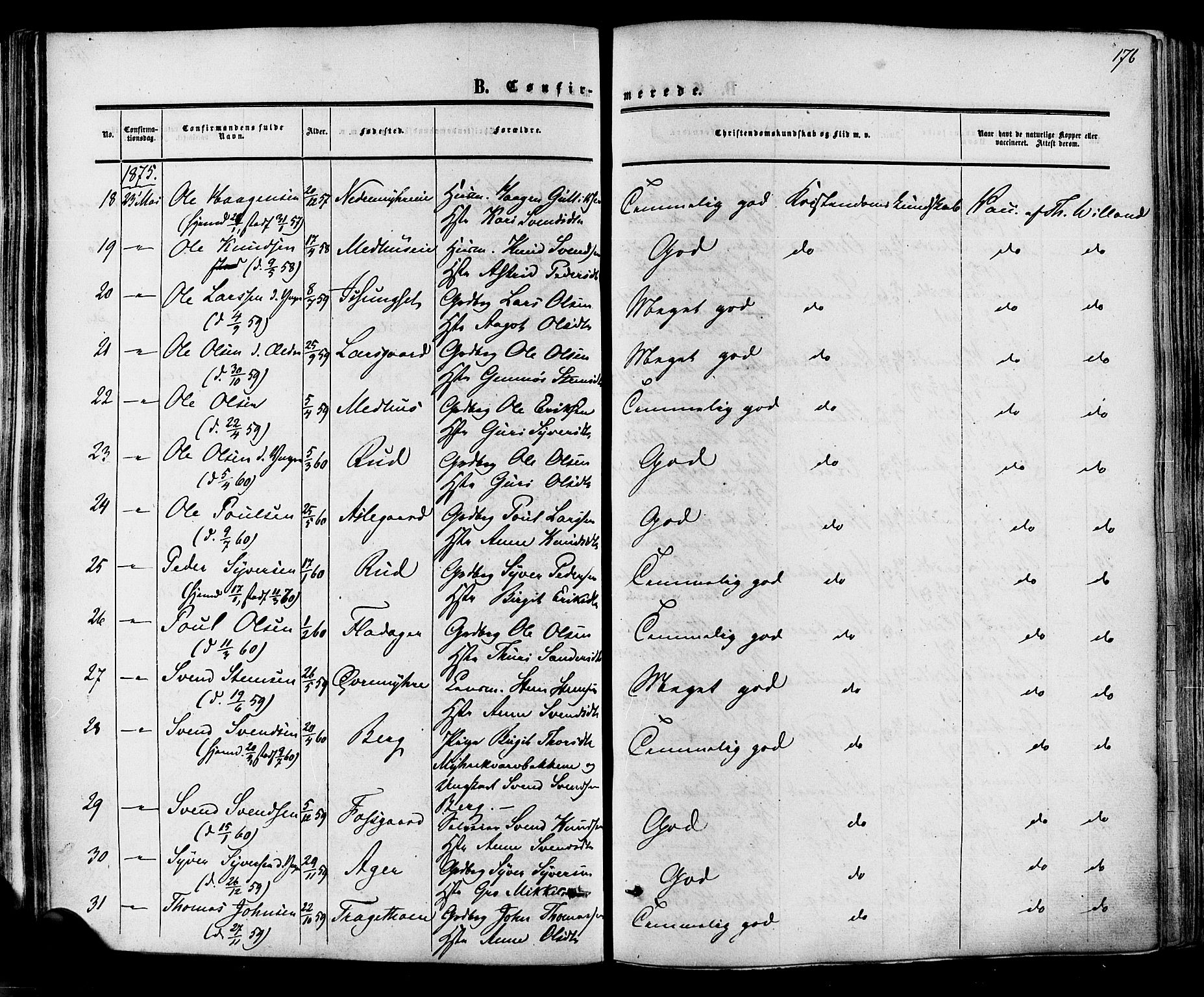 Hol kirkebøker, AV/SAKO-A-227/F/Fa/L0002: Parish register (official) no. I 2, 1870-1886, p. 176