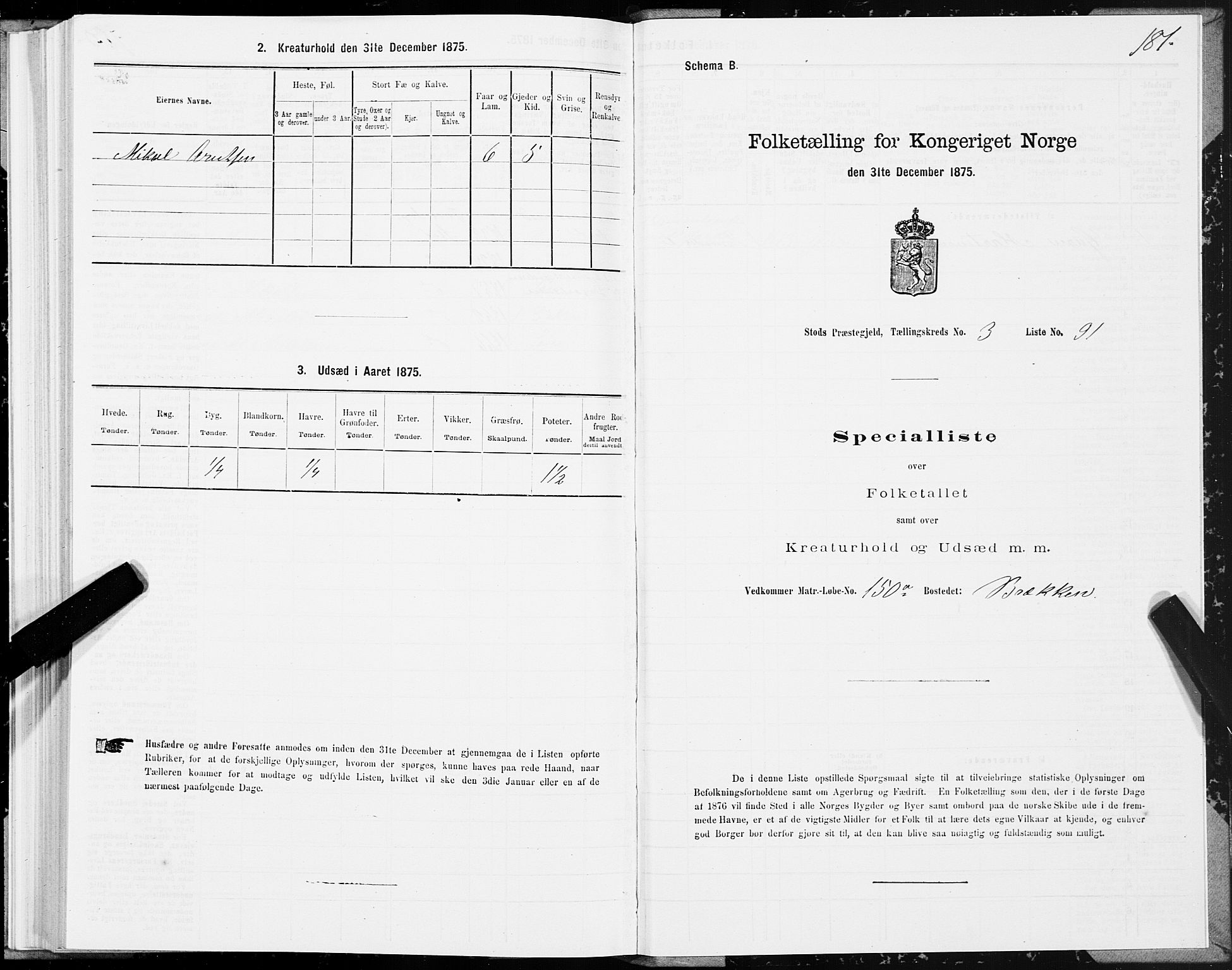 SAT, 1875 census for 1734P Stod, 1875, p. 3181