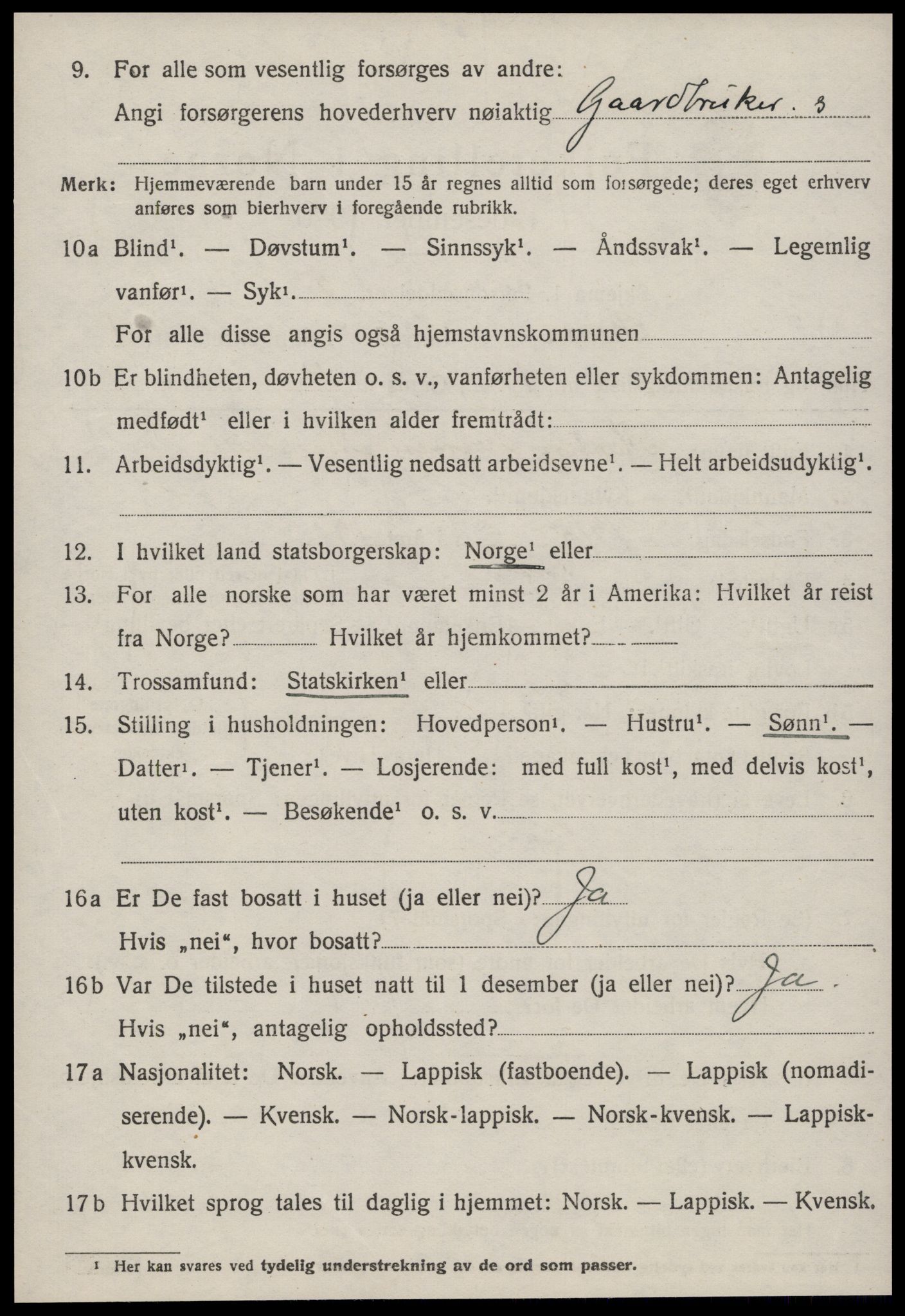 SAT, 1920 census for Børsa, 1920, p. 738