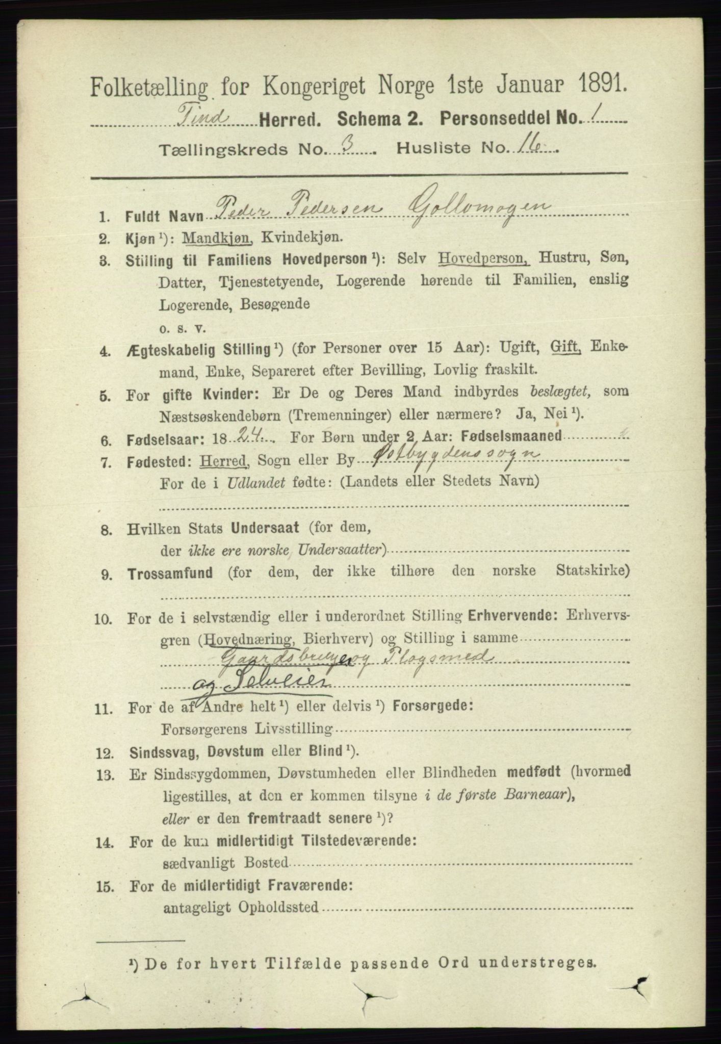 RA, 1891 census for 0826 Tinn, 1891, p. 587