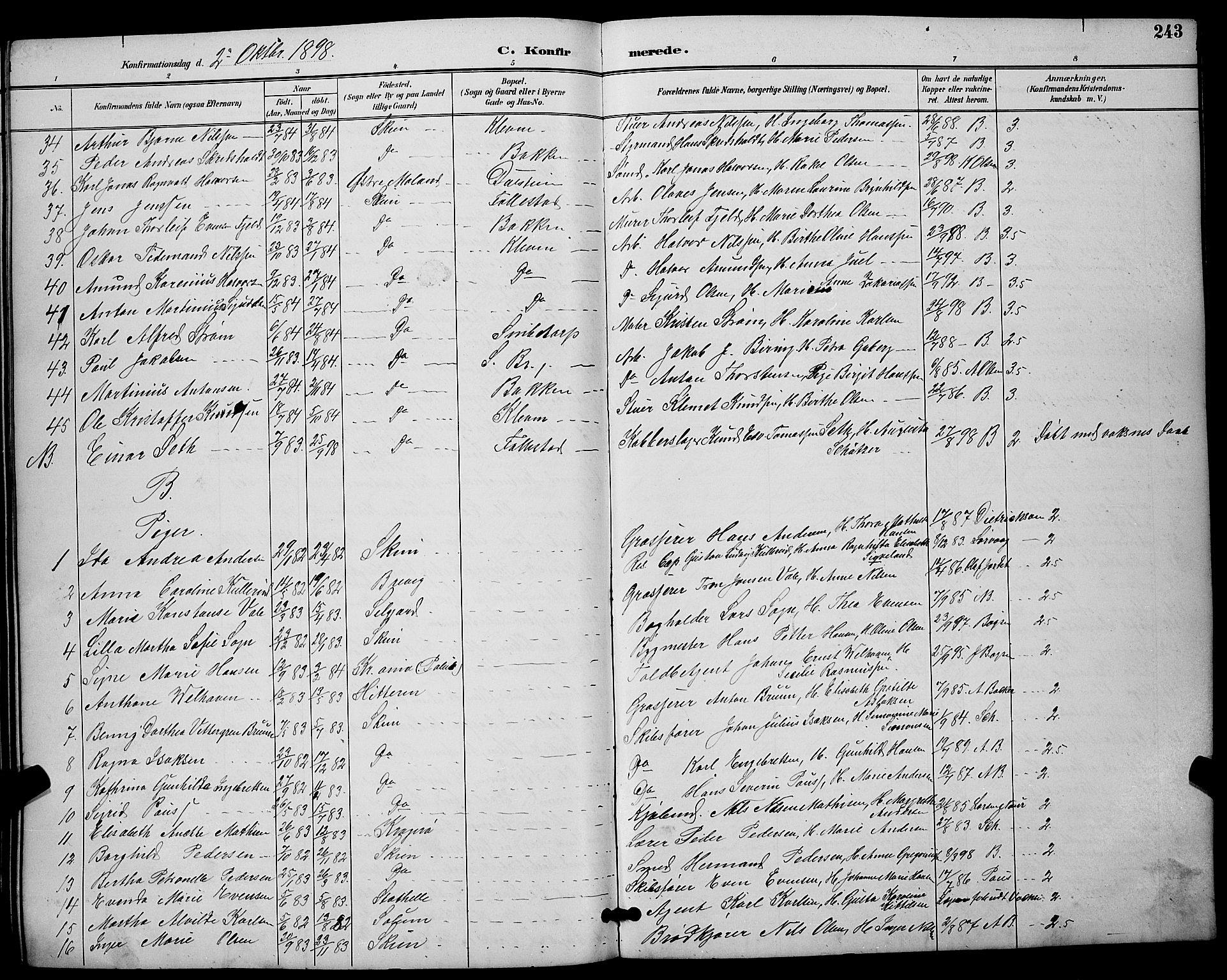 Skien kirkebøker, AV/SAKO-A-302/G/Ga/L0007: Parish register (copy) no. 7, 1891-1900, p. 243