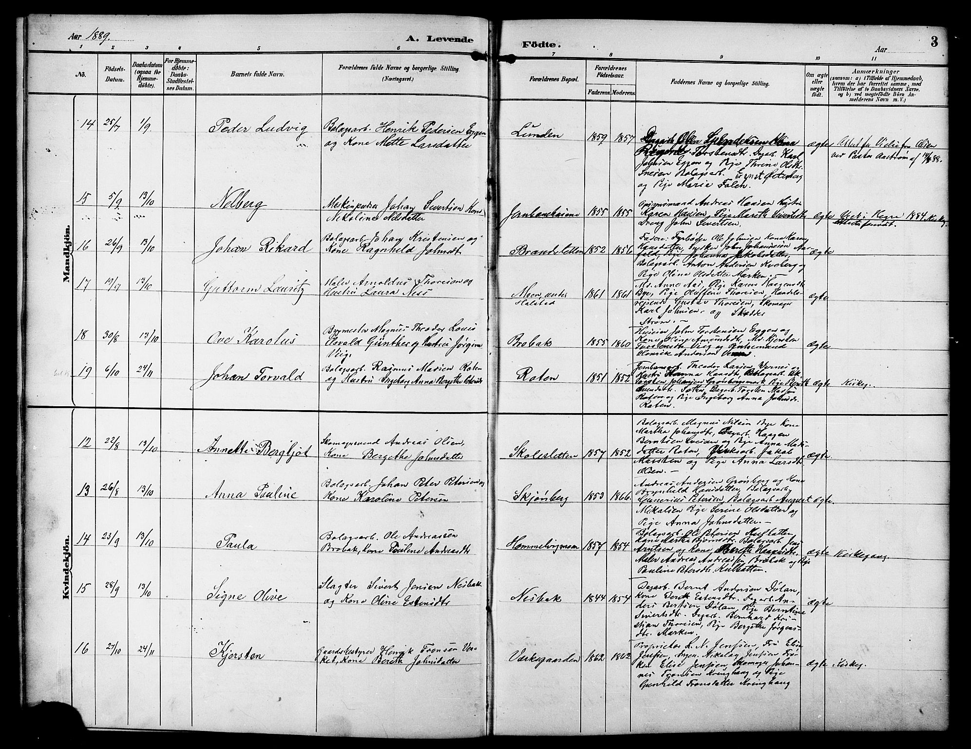 Ministerialprotokoller, klokkerbøker og fødselsregistre - Sør-Trøndelag, SAT/A-1456/617/L0431: Parish register (copy) no. 617C01, 1889-1910, p. 3