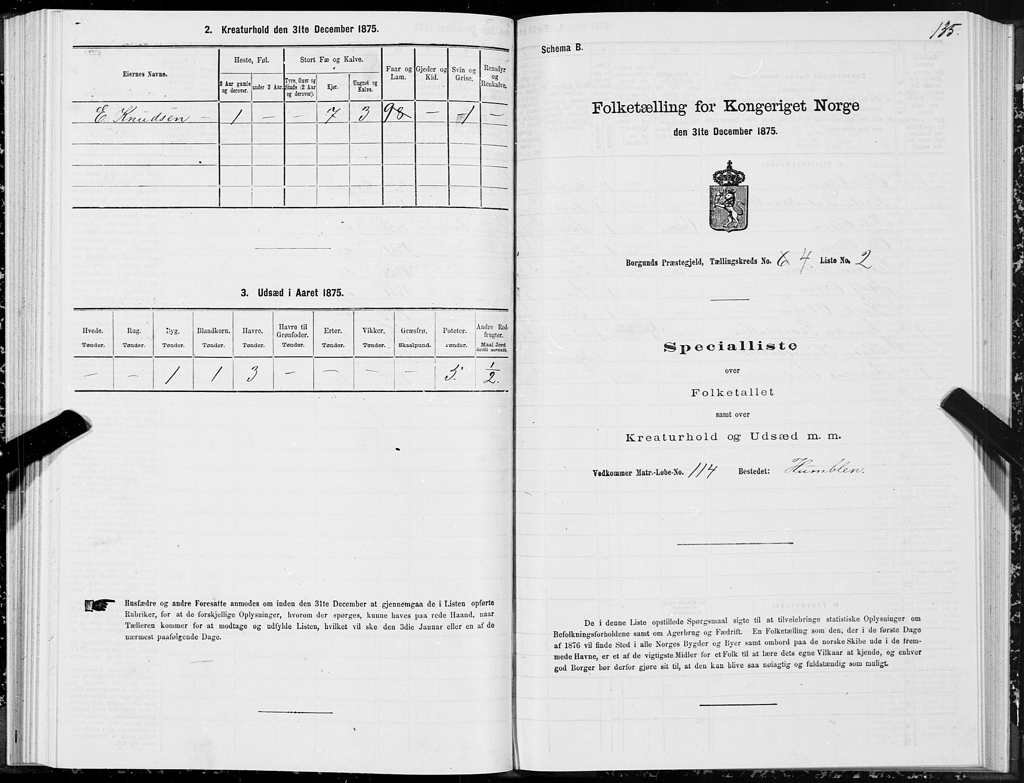 SAT, 1875 census for 1531P Borgund, 1875, p. 2135