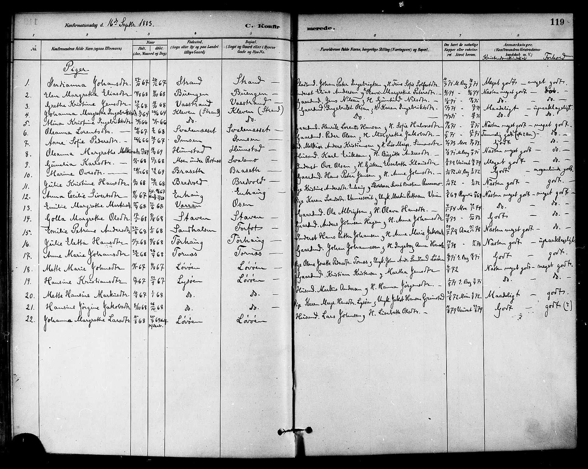 Ministerialprotokoller, klokkerbøker og fødselsregistre - Sør-Trøndelag, SAT/A-1456/655/L0680: Parish register (official) no. 655A09, 1880-1894, p. 119