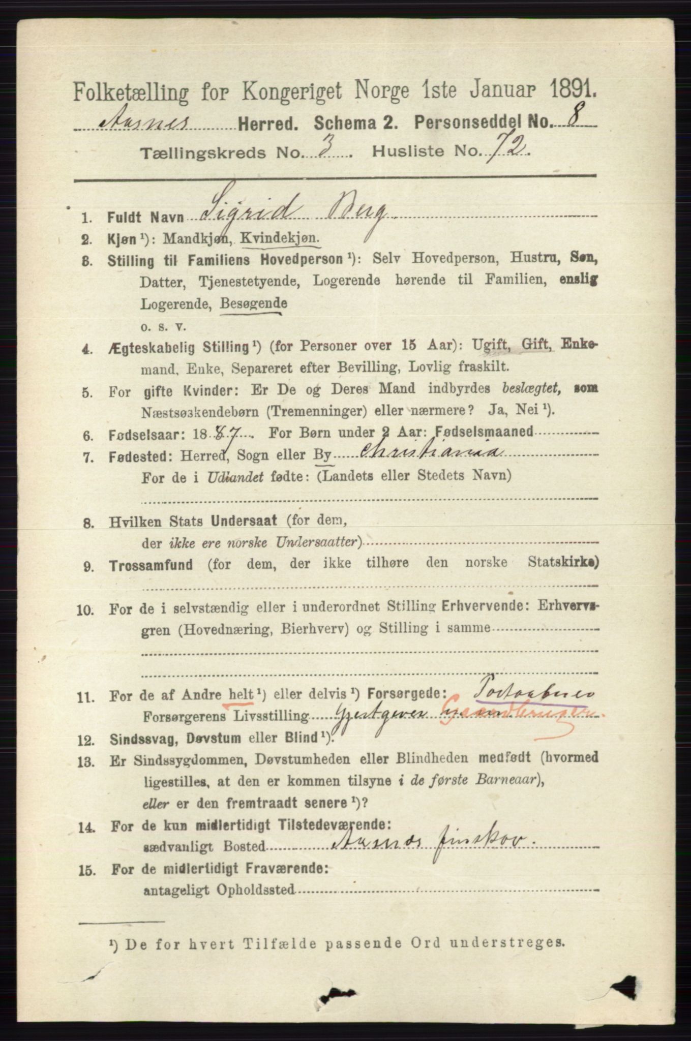 RA, 1891 census for 0425 Åsnes, 1891, p. 1538