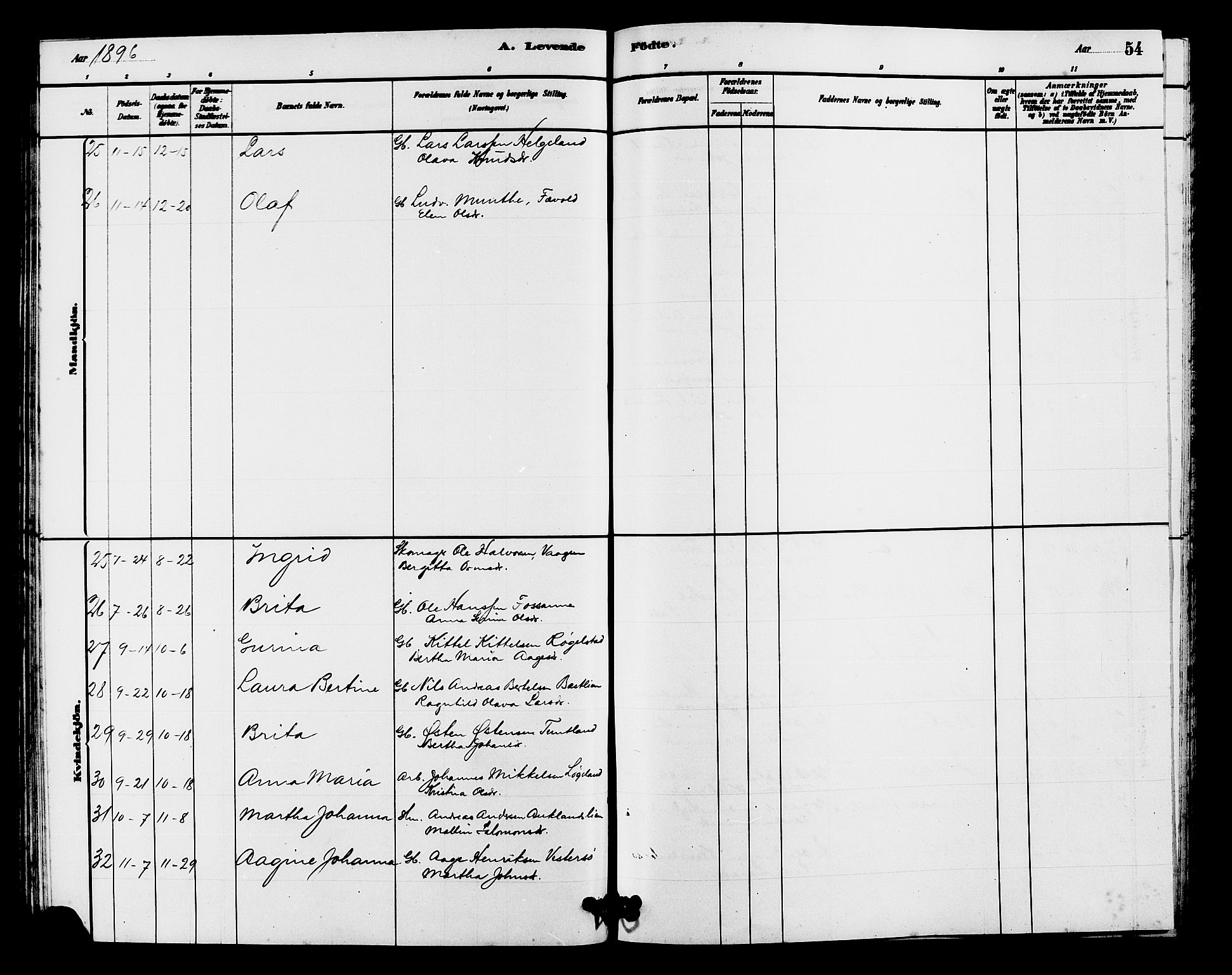 Hjelmeland sokneprestkontor, SAST/A-101843/01/V/L0007: Parish register (copy) no. B 7, 1880-1909, p. 54