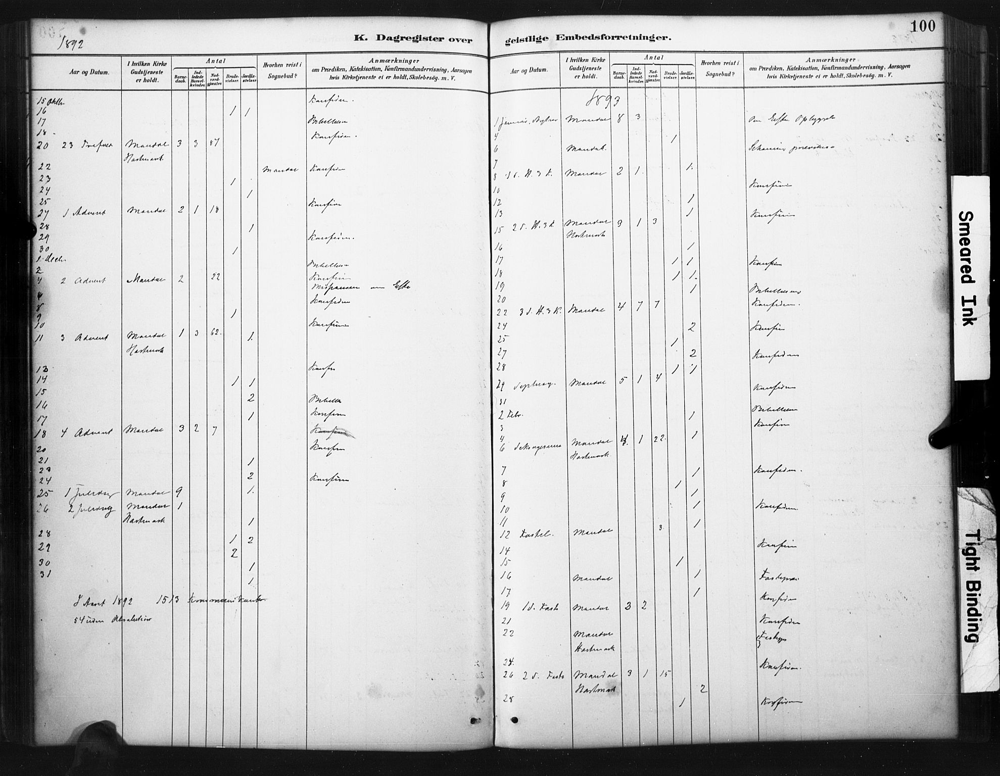 Mandal sokneprestkontor, AV/SAK-1111-0030/F/Fa/Faa/L0017: Parish register (official) no. A 17, 1880-1926, p. 100