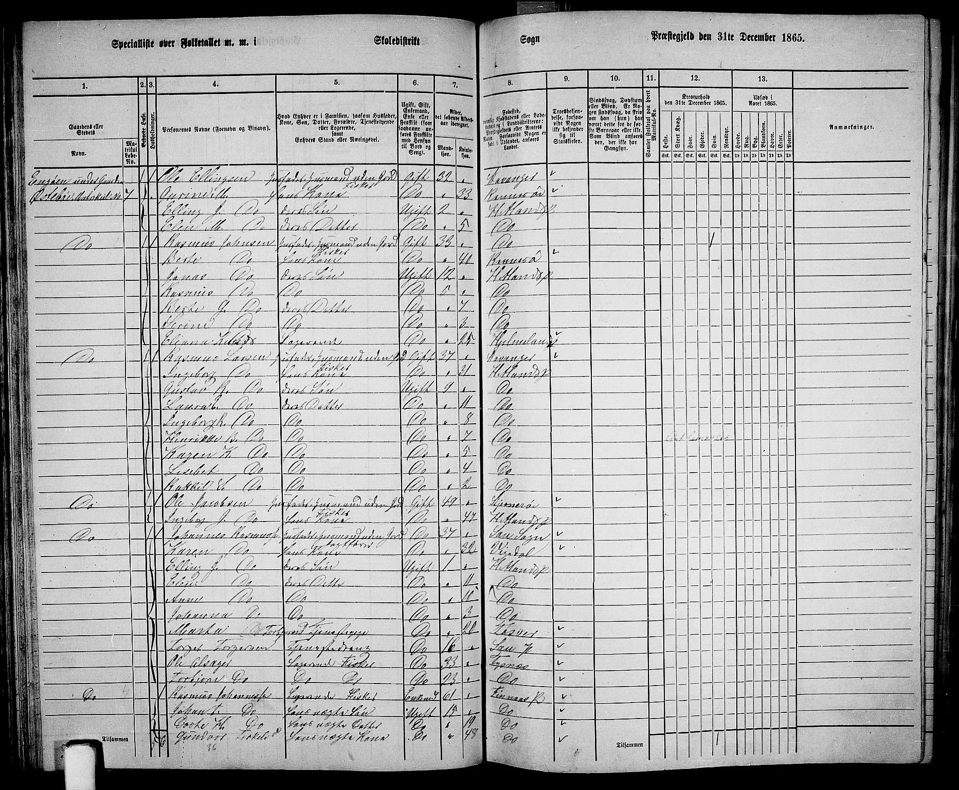 RA, 1865 census for Hetland, 1865, p. 61