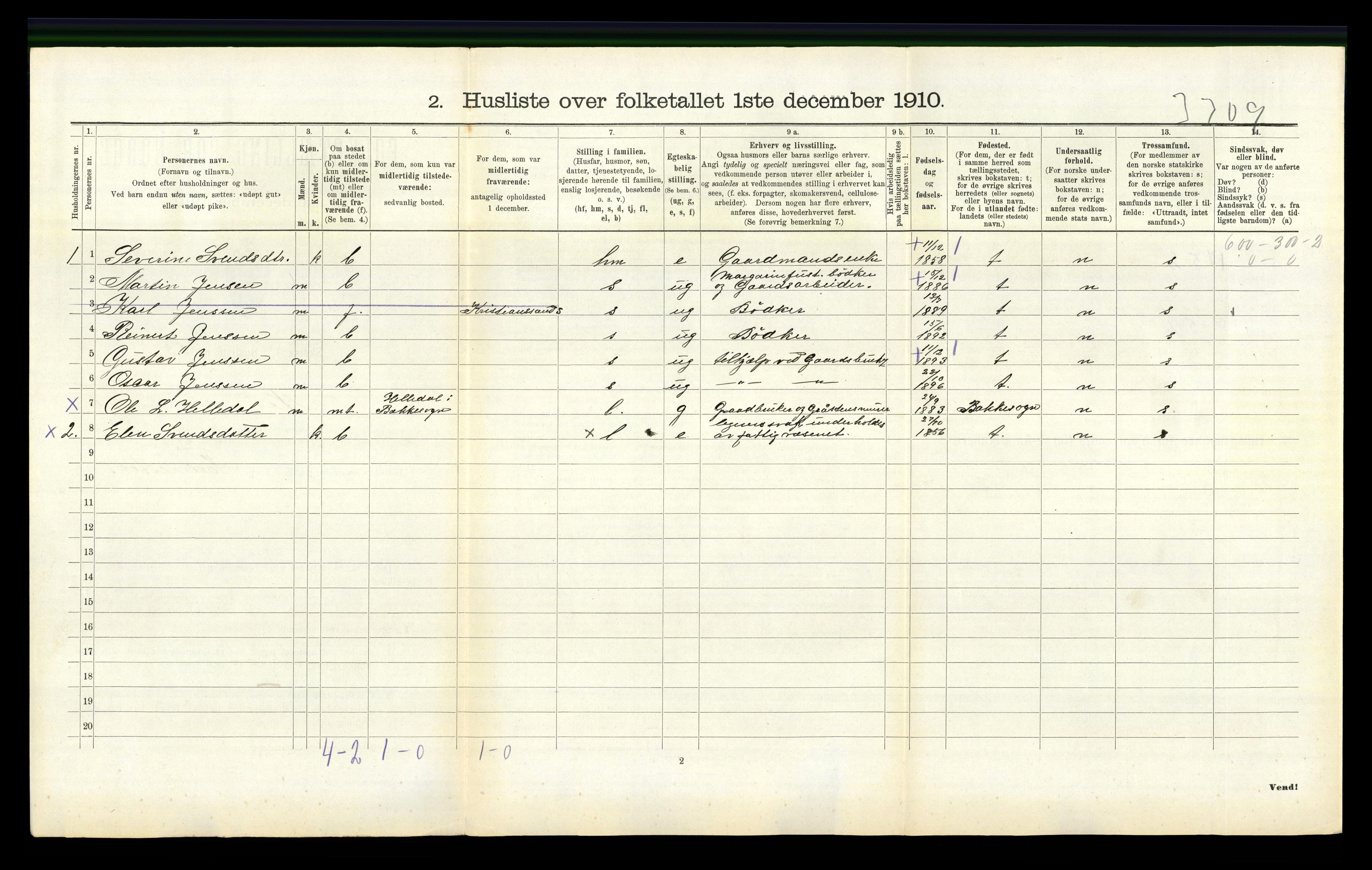 RA, 1910 census for Nes, 1910, p. 486