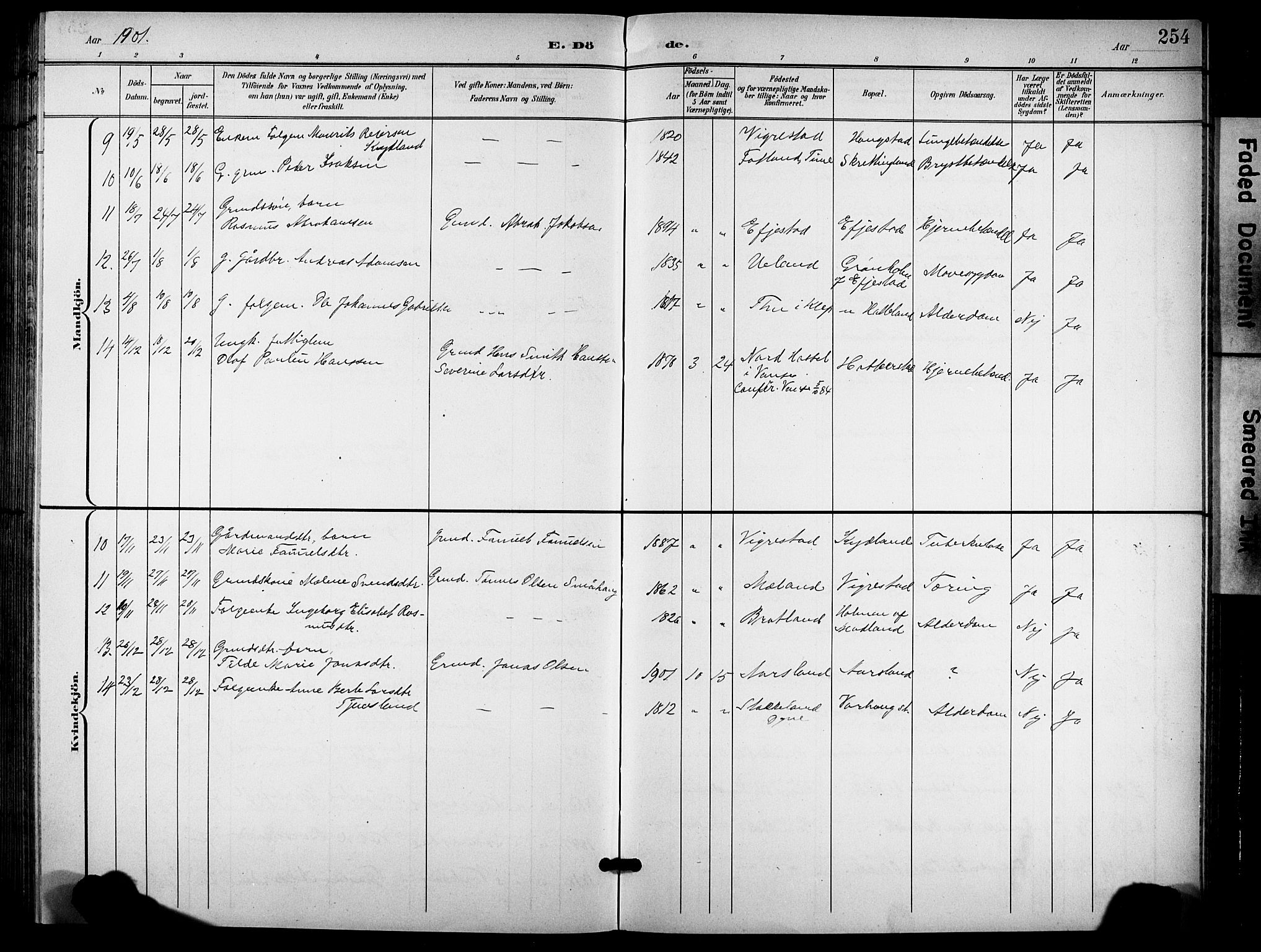 Hå sokneprestkontor, AV/SAST-A-101801/001/30BB/L0006: Parish register (copy) no. B 6, 1900-1924, p. 254