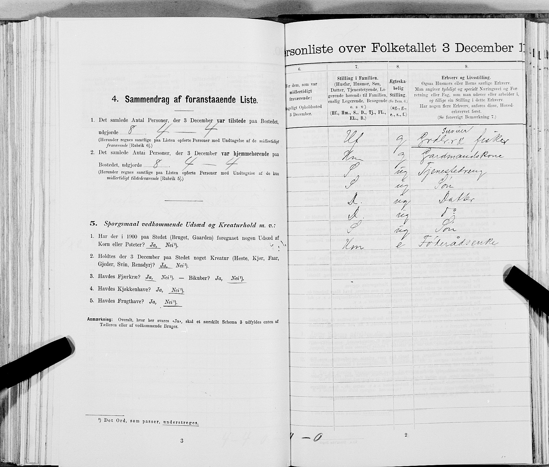 SAT, 1900 census for Leka, 1900, p. 310