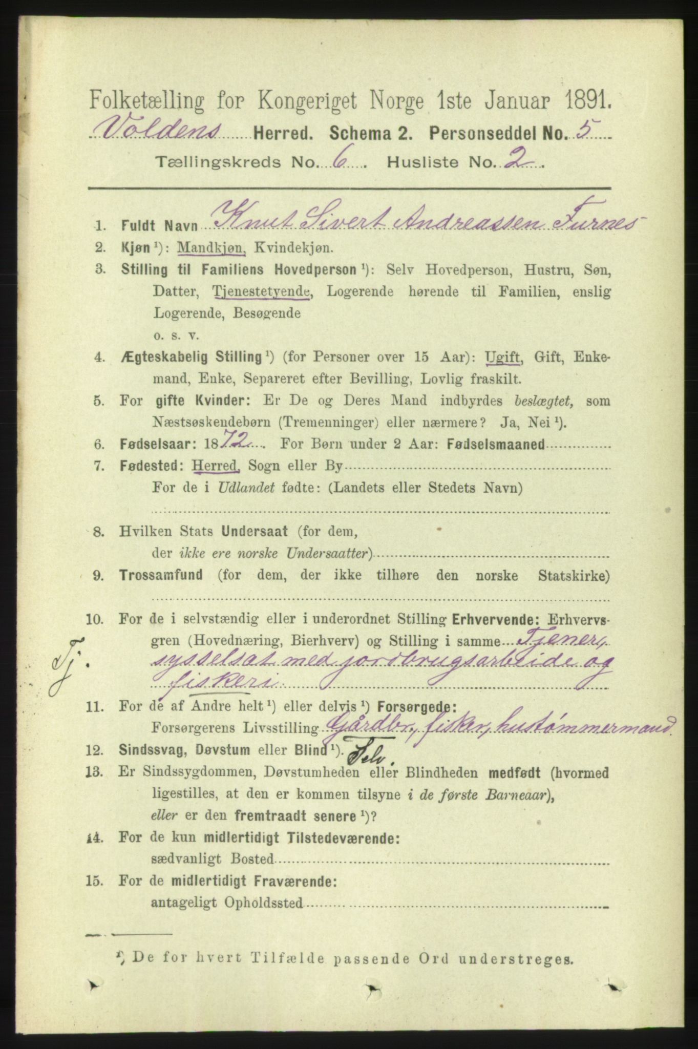 RA, 1891 census for 1519 Volda, 1891, p. 2875