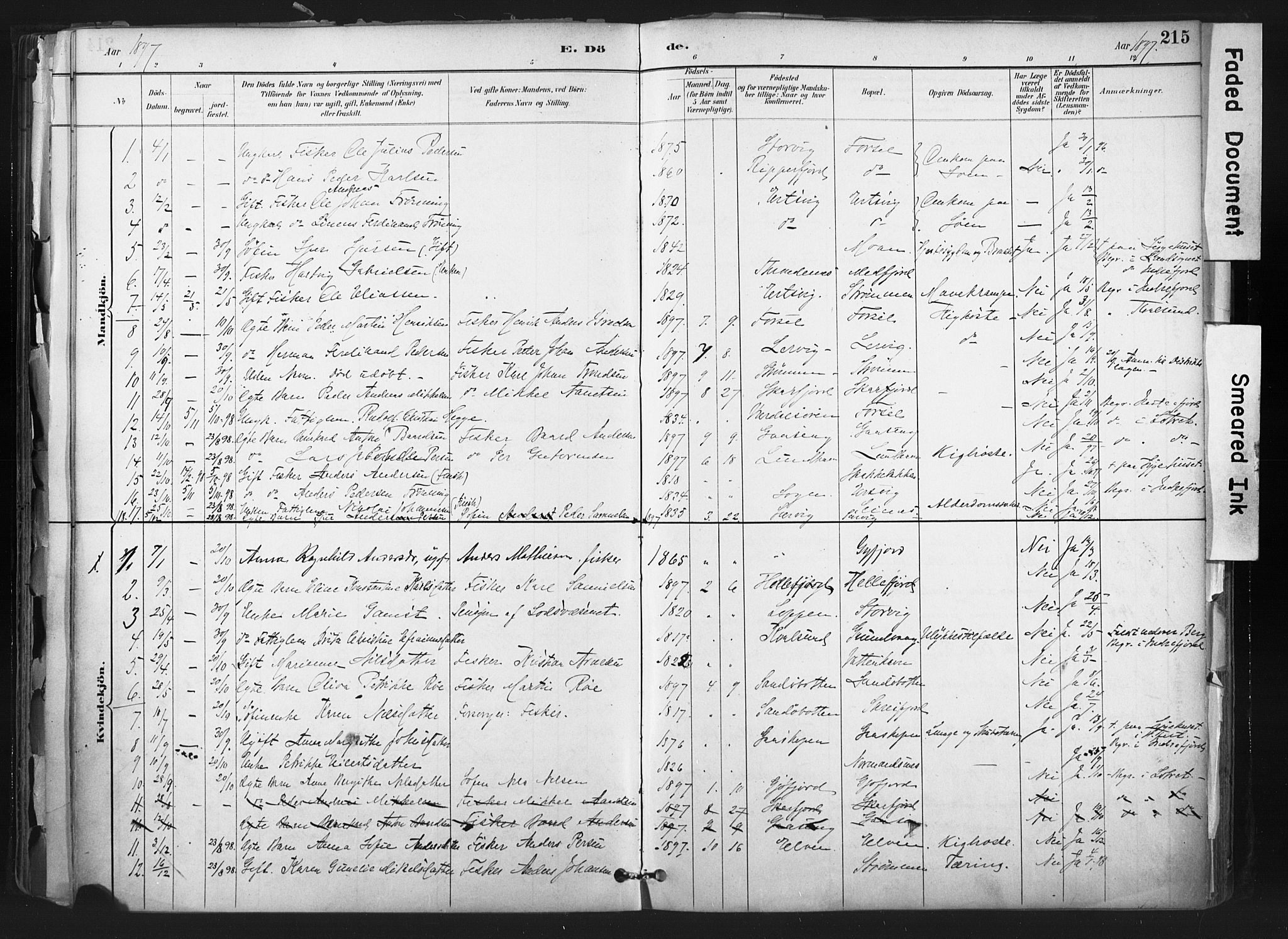Hammerfest sokneprestkontor, SATØ/S-1347: Parish register (official) no. 11 /1, 1885-1897, p. 215