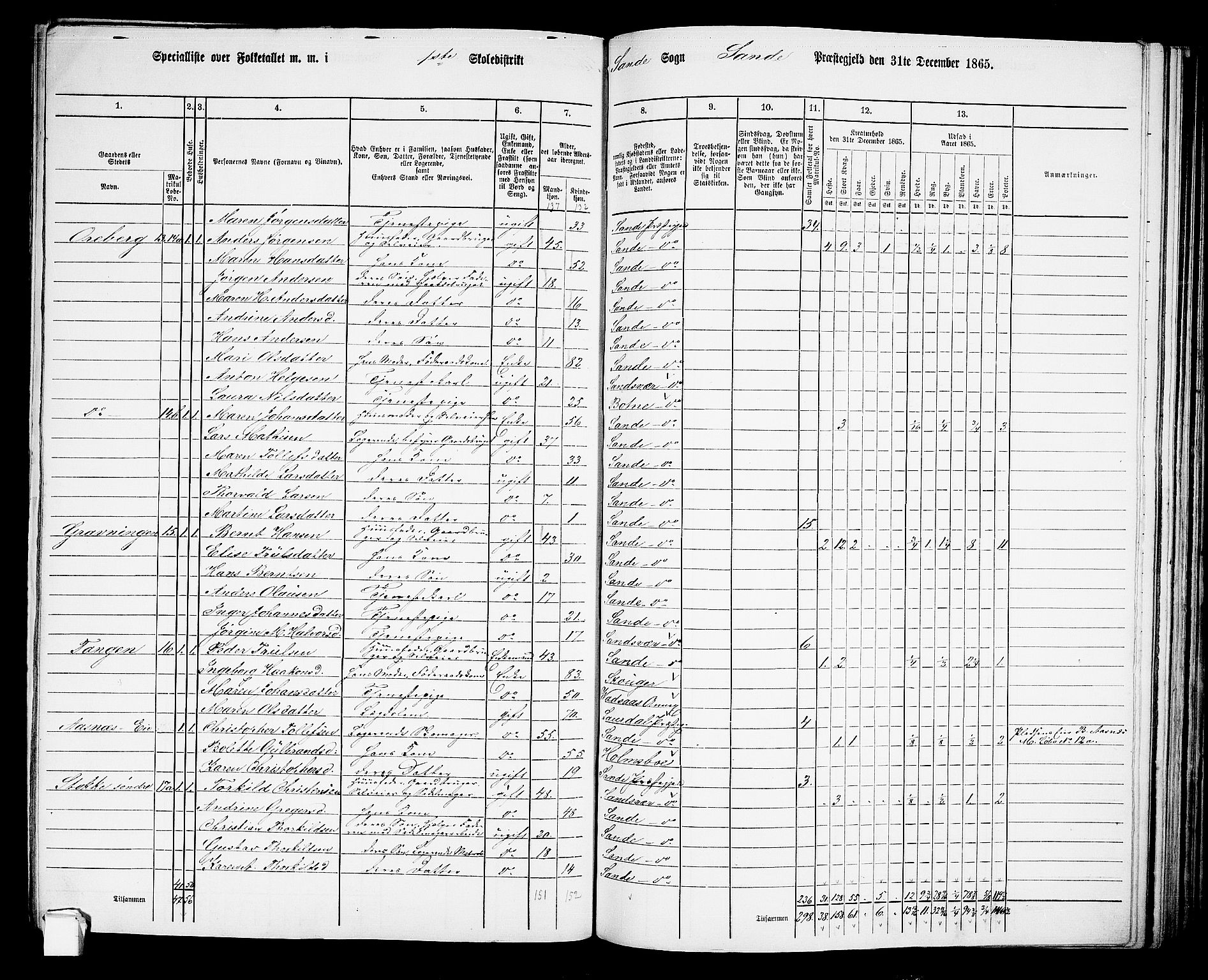 RA, 1865 census for Sande, 1865, p. 17