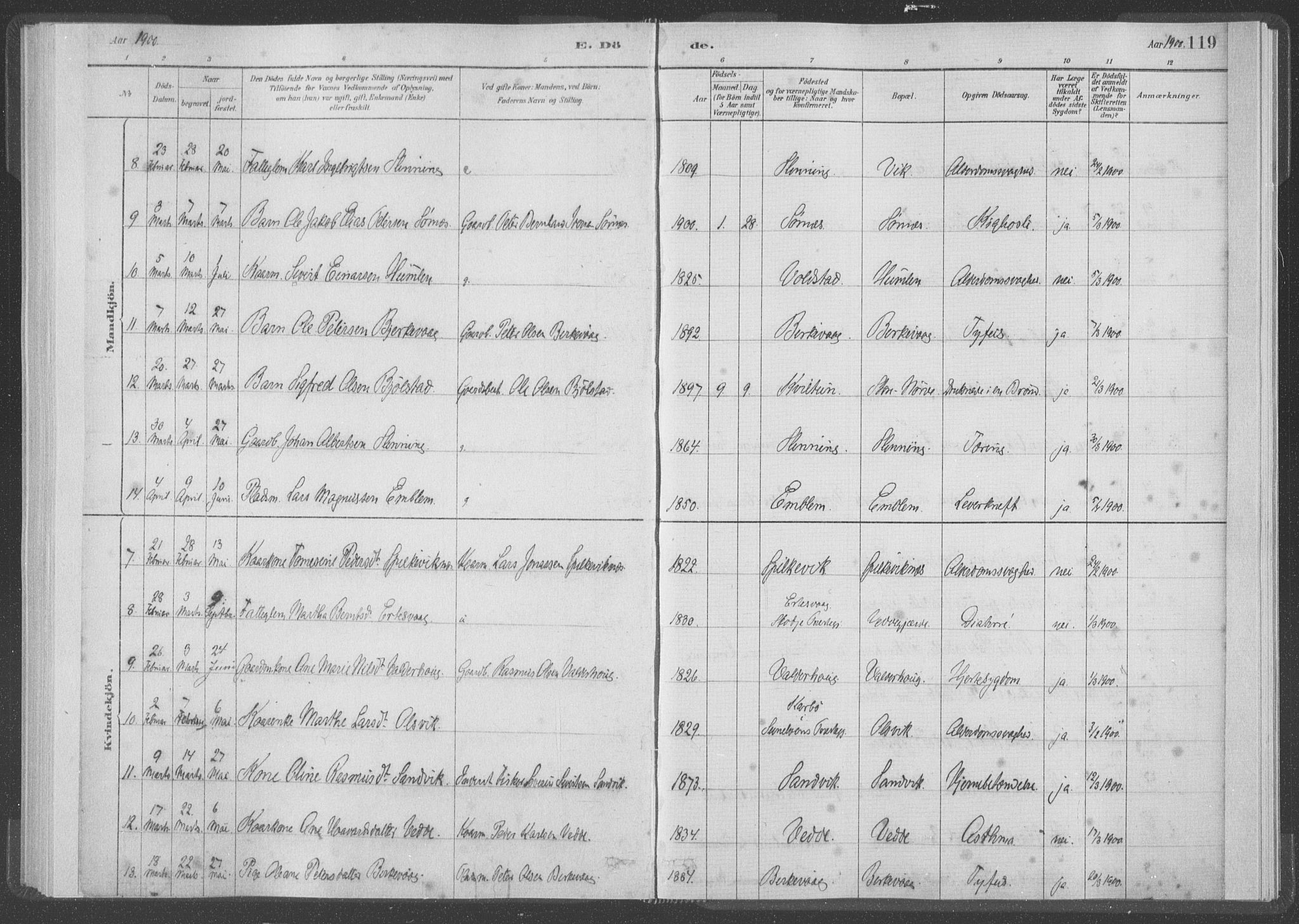 Ministerialprotokoller, klokkerbøker og fødselsregistre - Møre og Romsdal, AV/SAT-A-1454/528/L0403: Parish register (official) no. 528A13I, 1880-1947, p. 119