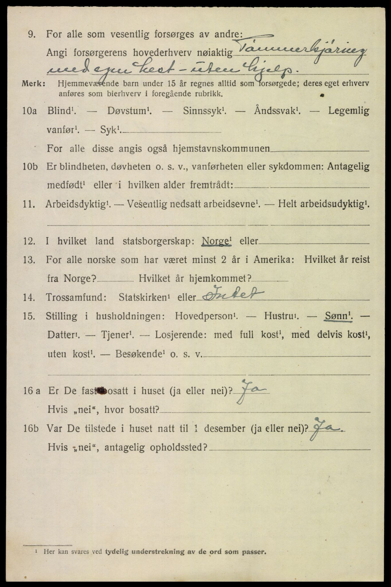 SAH, 1920 census for Trysil, 1920, p. 16138