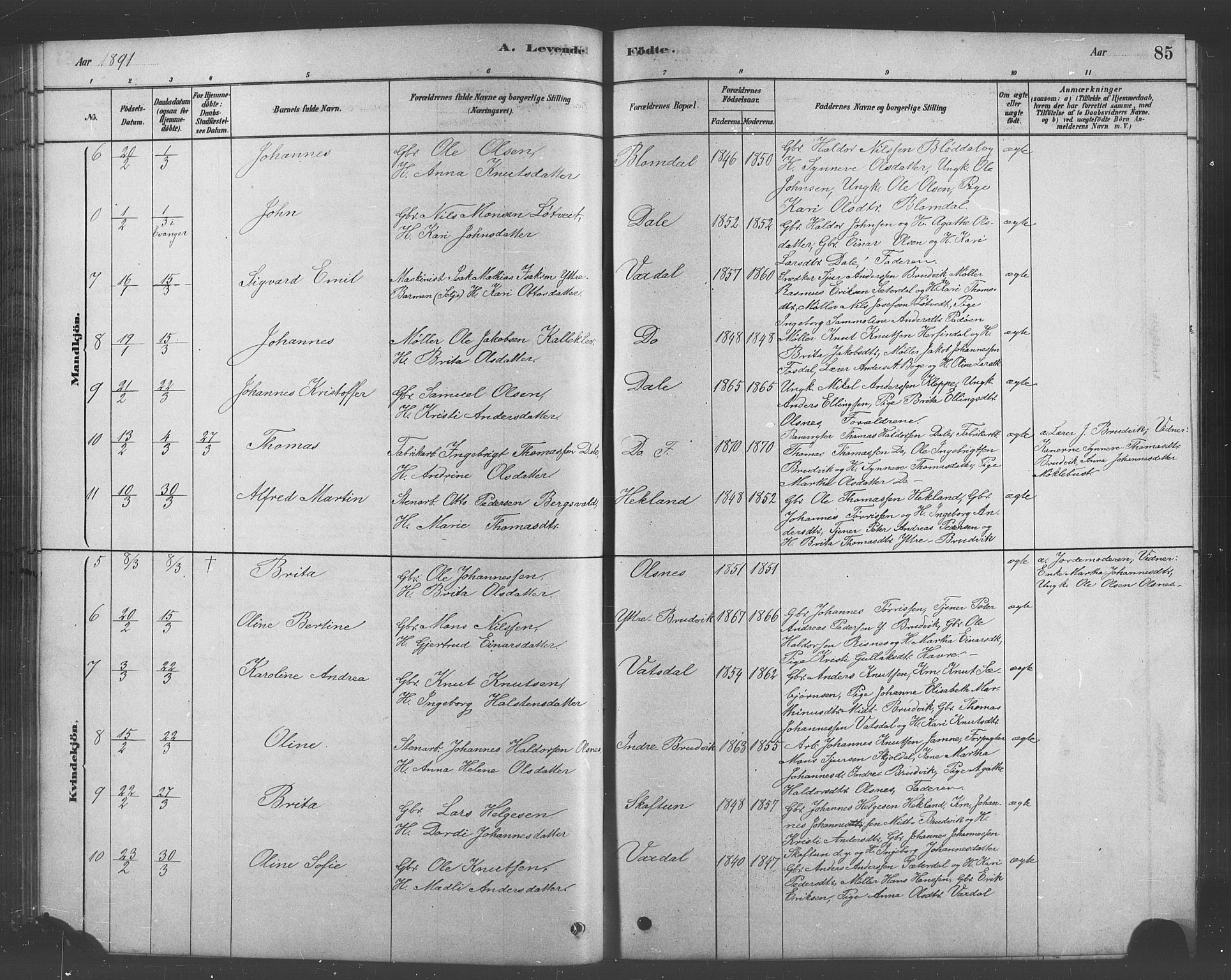 Bruvik Sokneprestembete, AV/SAB-A-74701/H/Hab: Parish register (copy) no. A 1, 1878-1907, p. 85