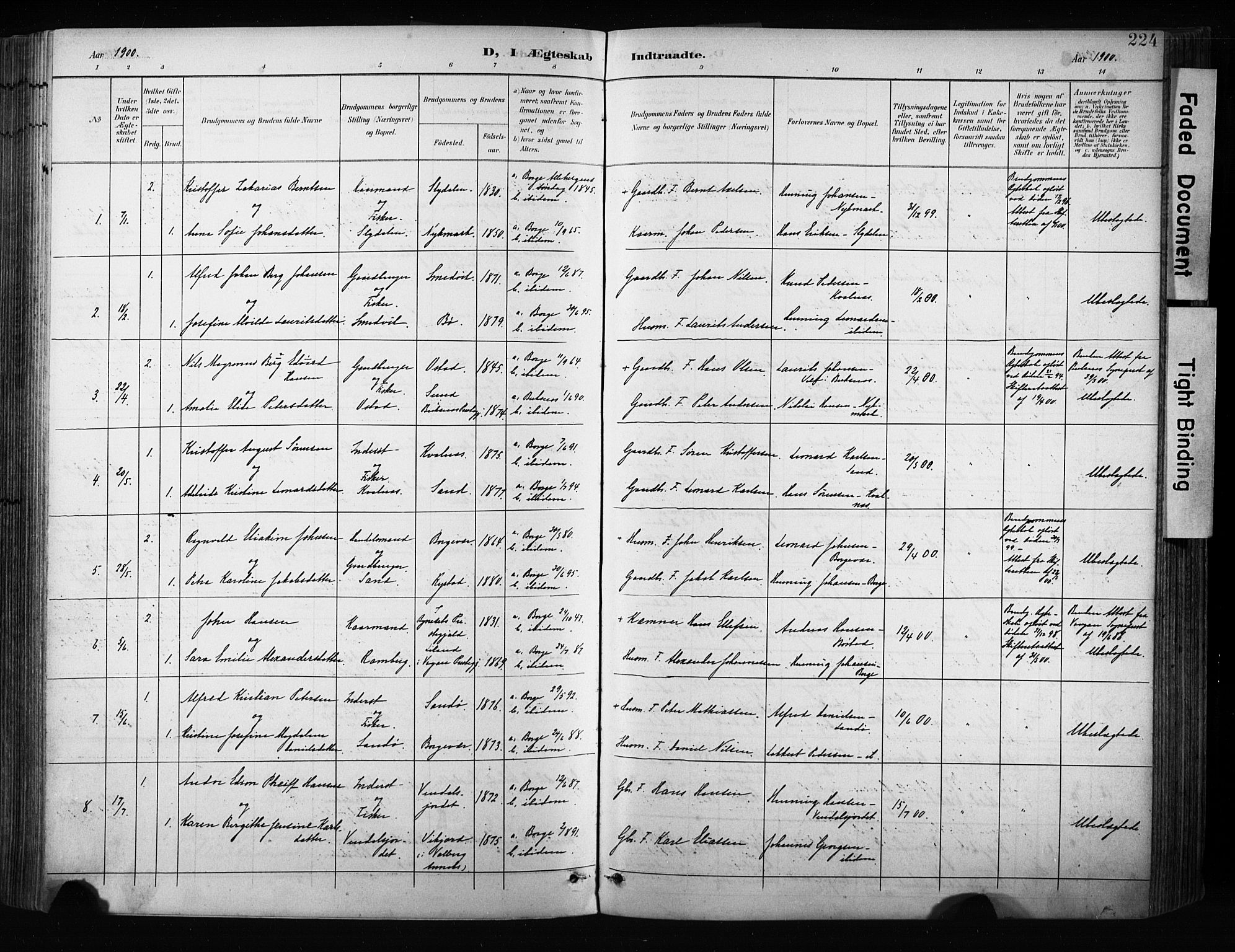 Ministerialprotokoller, klokkerbøker og fødselsregistre - Nordland, AV/SAT-A-1459/880/L1134: Parish register (official) no. 880A08, 1899-1908, p. 224