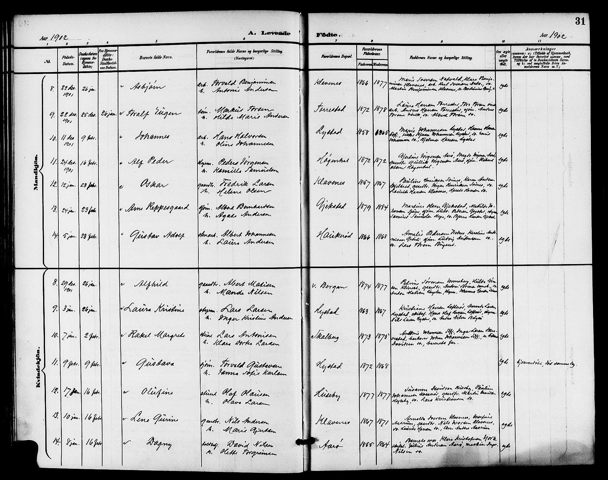 Sandar kirkebøker, AV/SAKO-A-243/G/Ga/L0002: Parish register (copy) no. 2, 1900-1915, p. 31