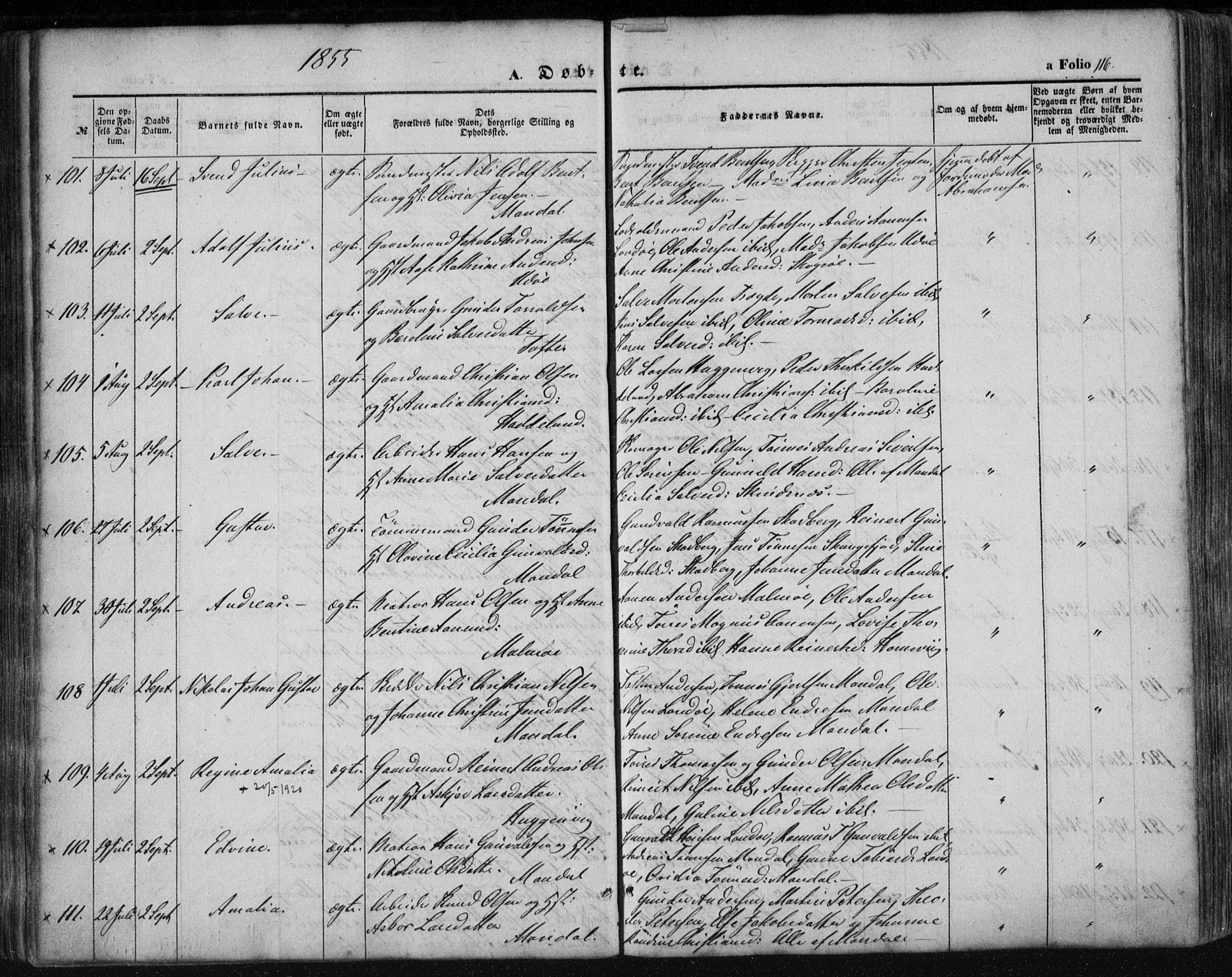 Mandal sokneprestkontor, AV/SAK-1111-0030/F/Fa/Faa/L0013: Parish register (official) no. A 13, 1847-1859, p. 116