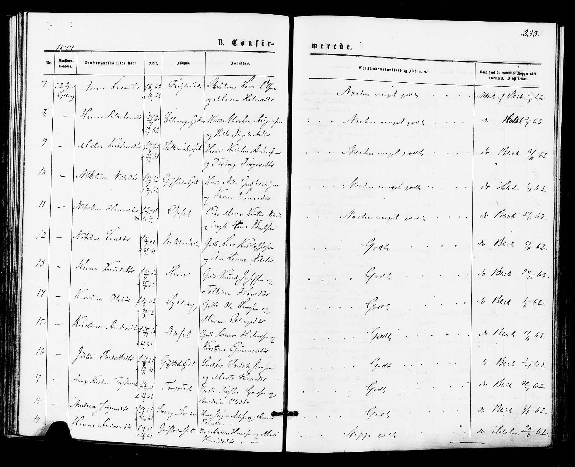 Lier kirkebøker, SAKO/A-230/F/Fa/L0014: Parish register (official) no. I 14, 1875-1882, p. 233