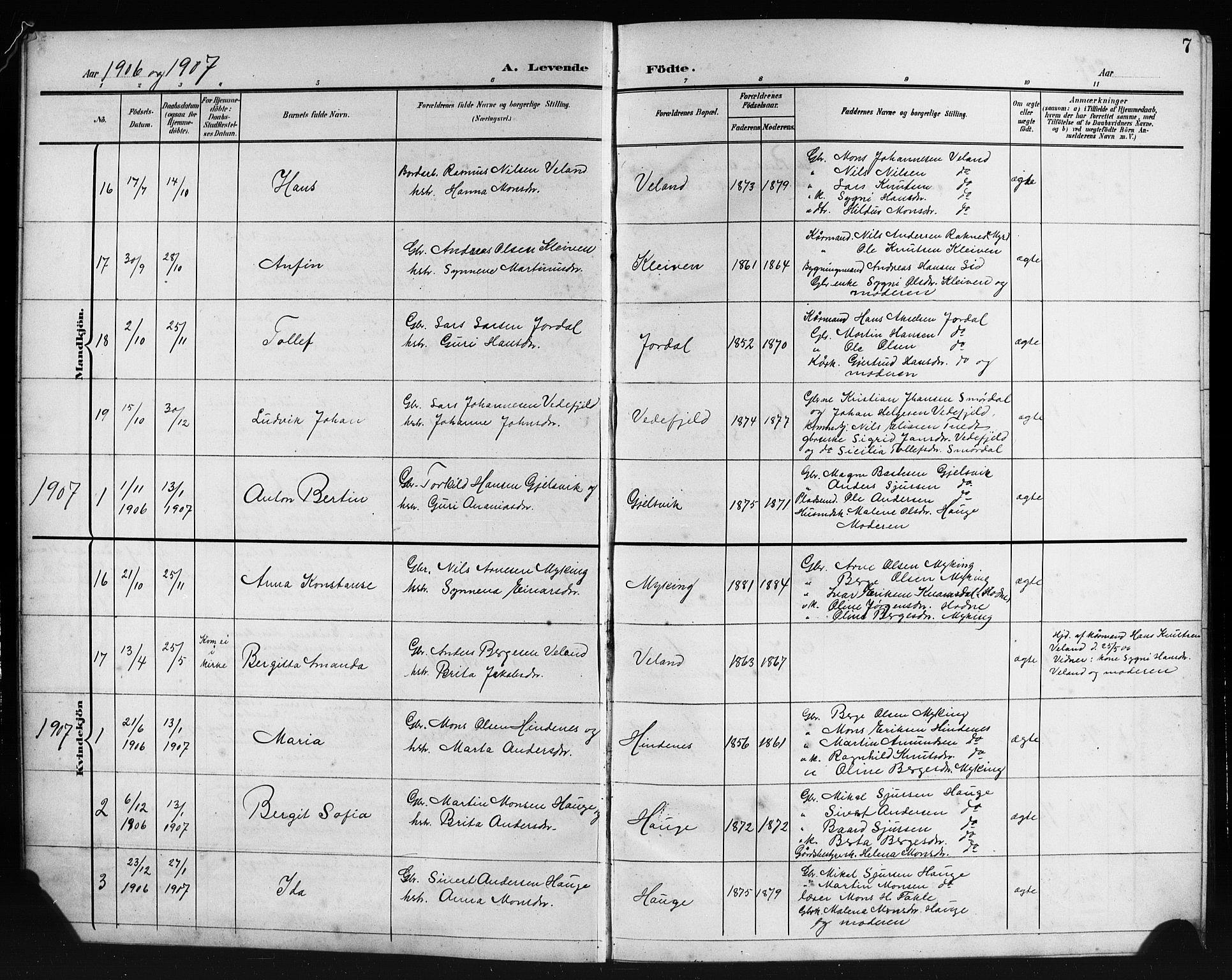 Lindås Sokneprestembete, AV/SAB-A-76701/H/Hab/Habe/L0004: Parish register (copy) no. E 4, 1906-1921, p. 7